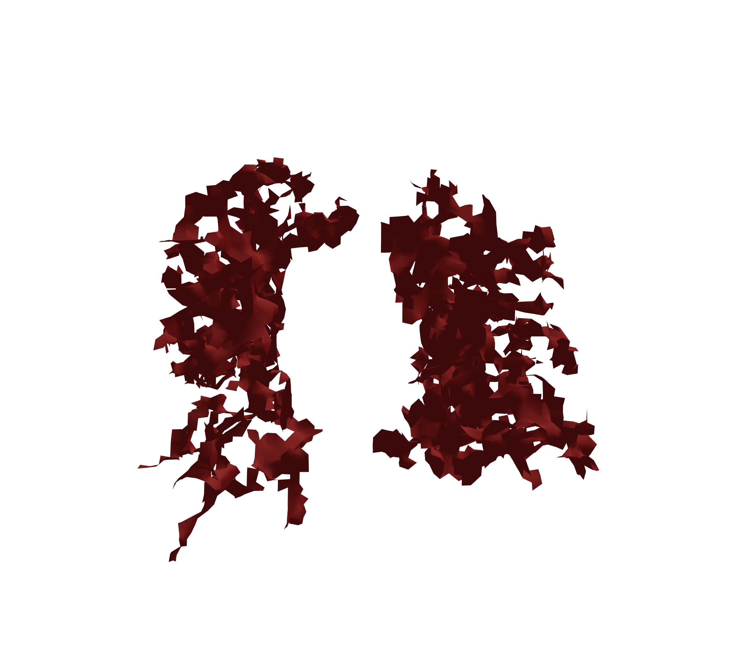 Surface Mesh (Expiration) - Front View