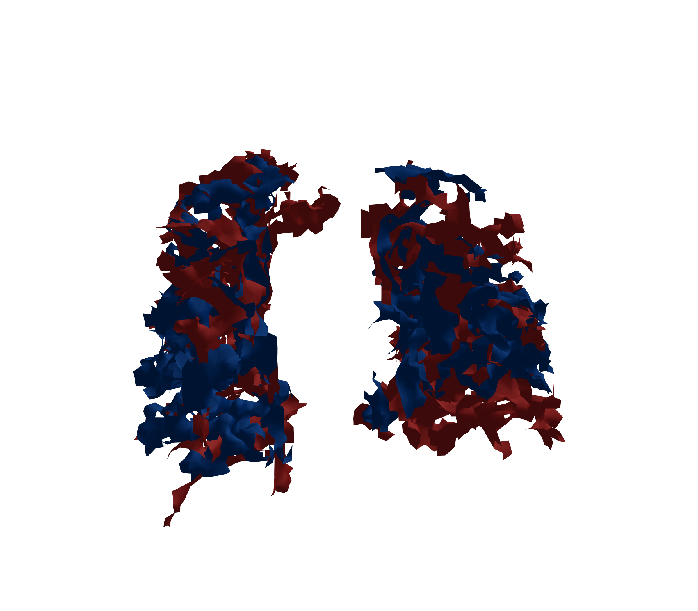 Surface Mesh - Front View