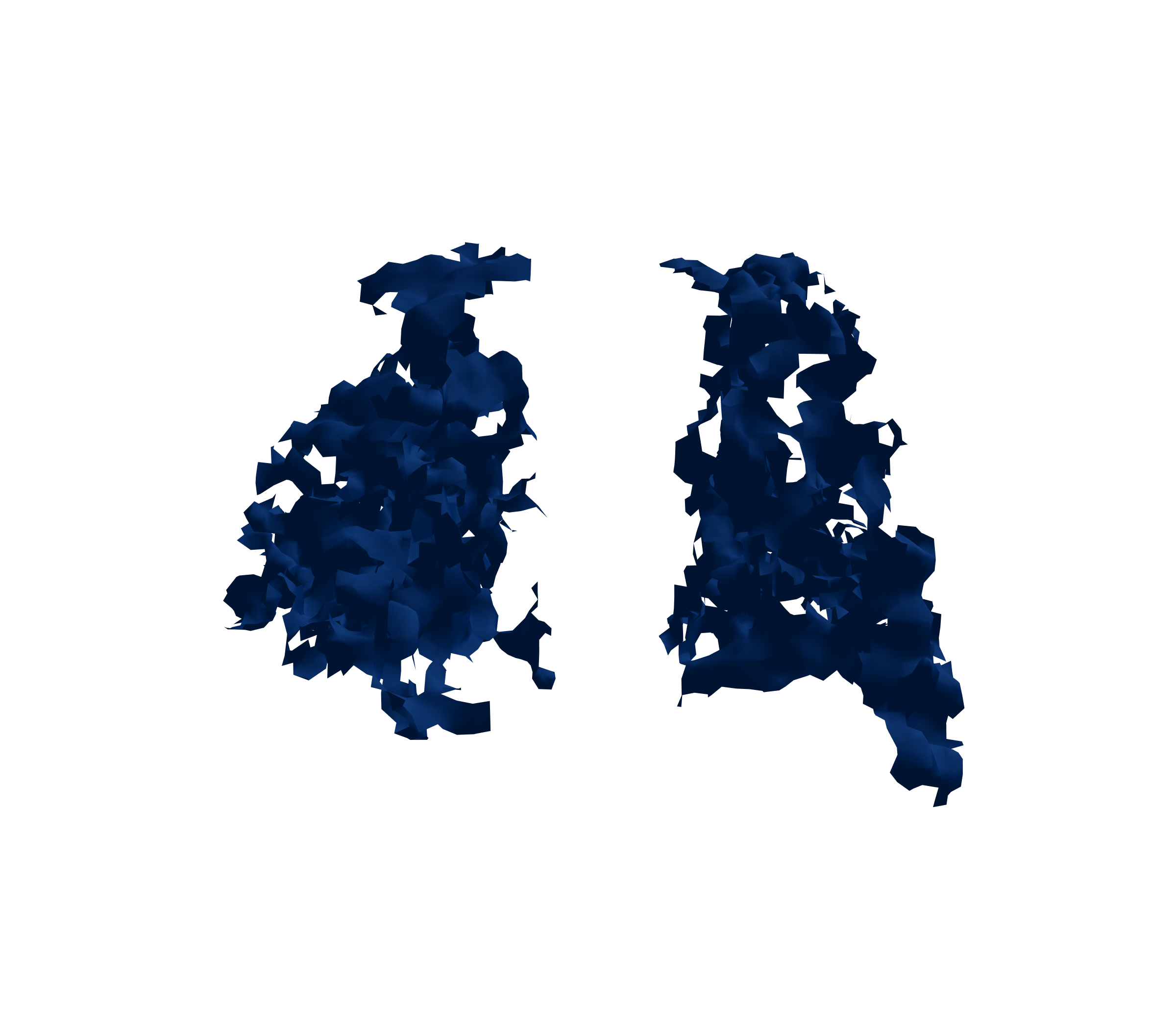 Surface Mesh (Inspiration) - Back View