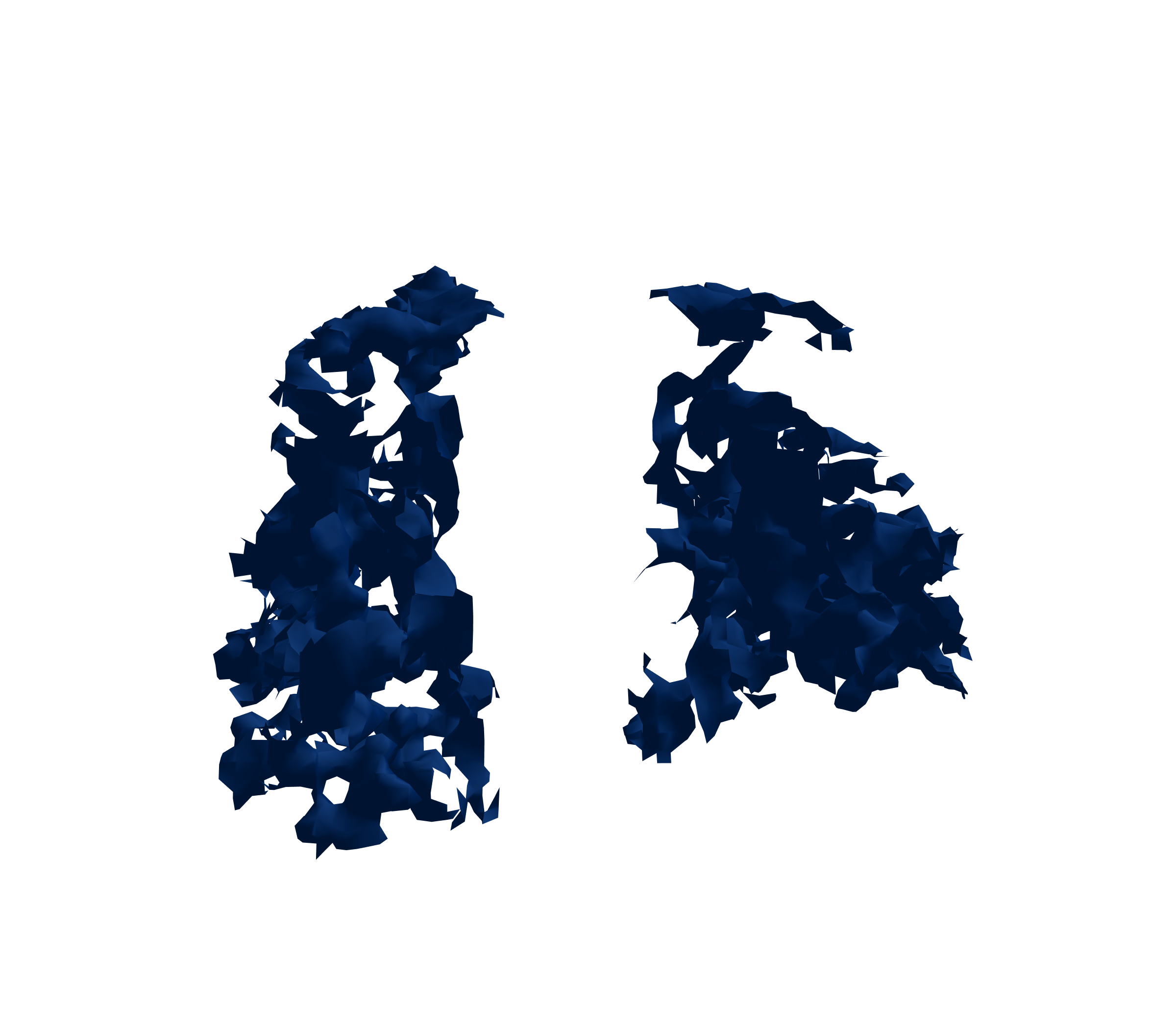 Surface Mesh (Inspiration) - Front View