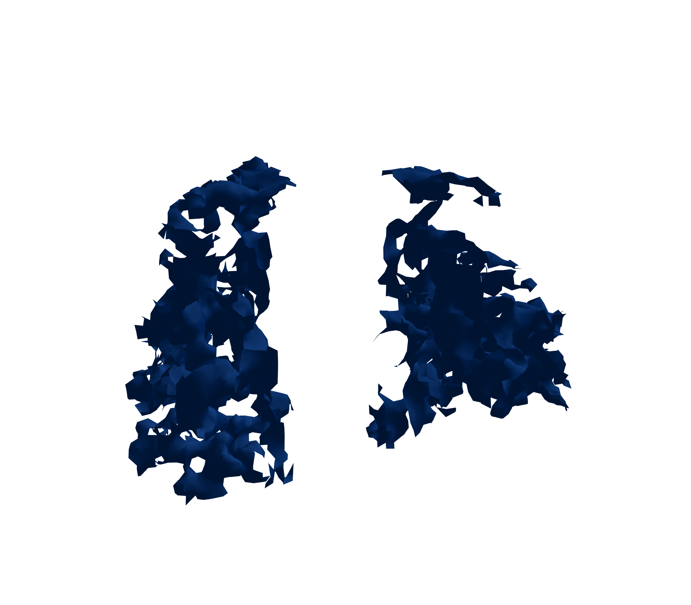 Surface Mesh (Inspiration) - Front View