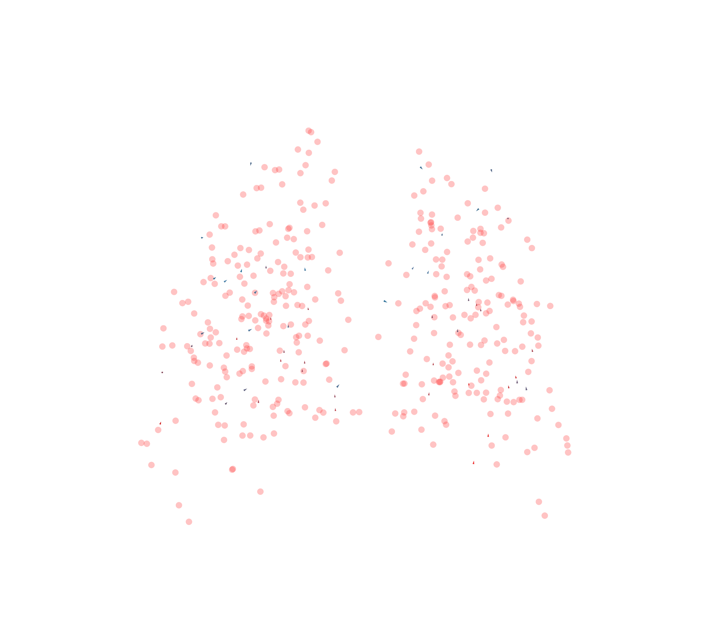 Displacement Vectors - Back View