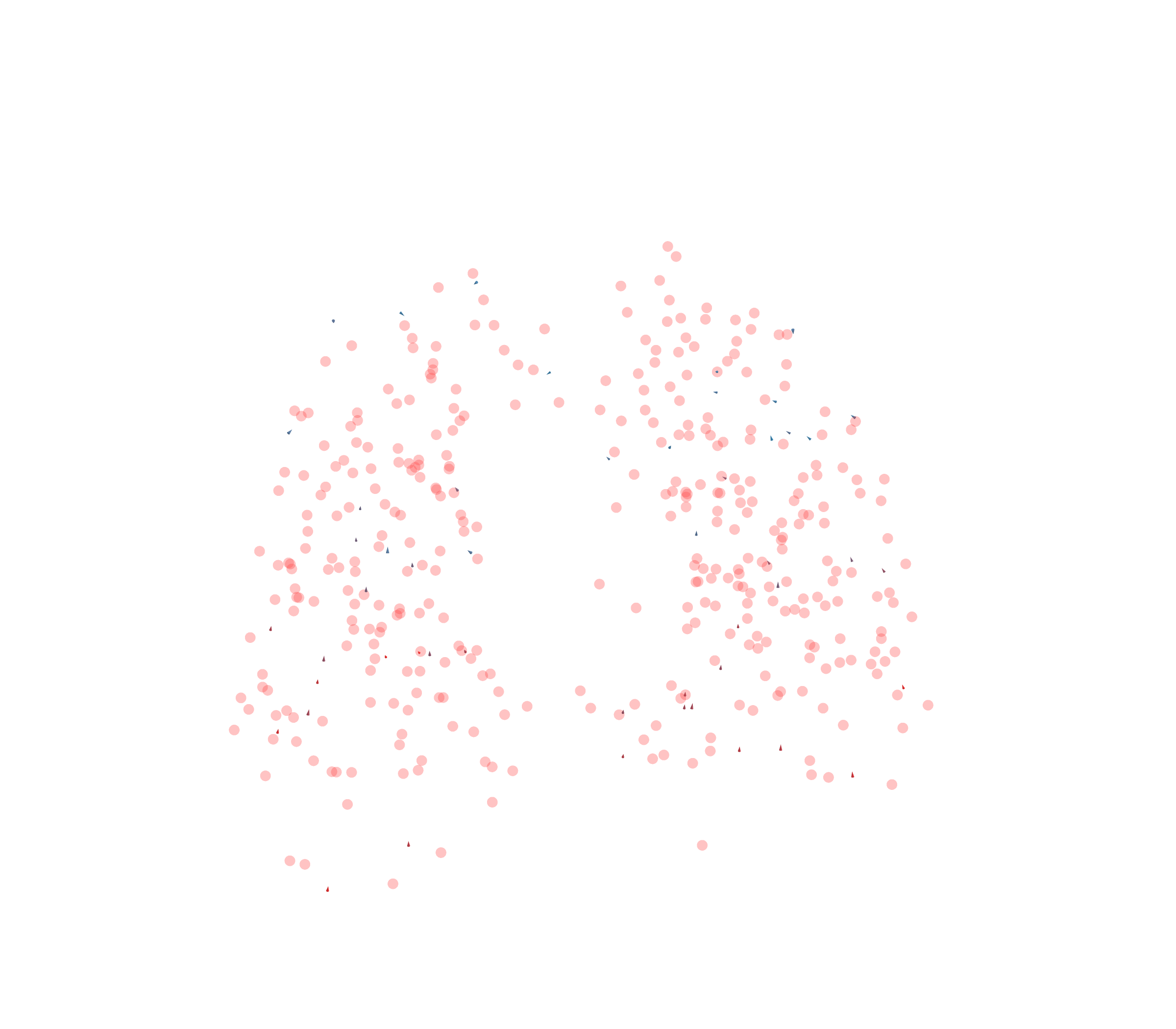 Displacement Vectors - Front View