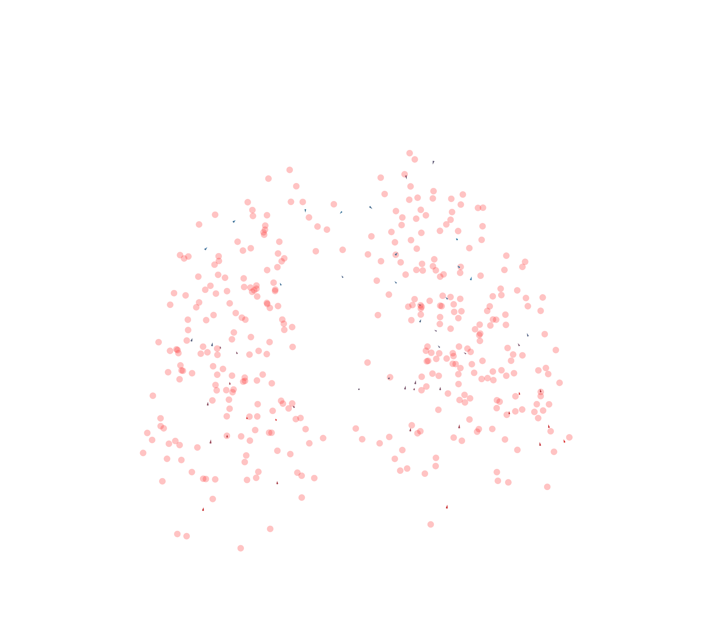Displacement Vectors - Front View