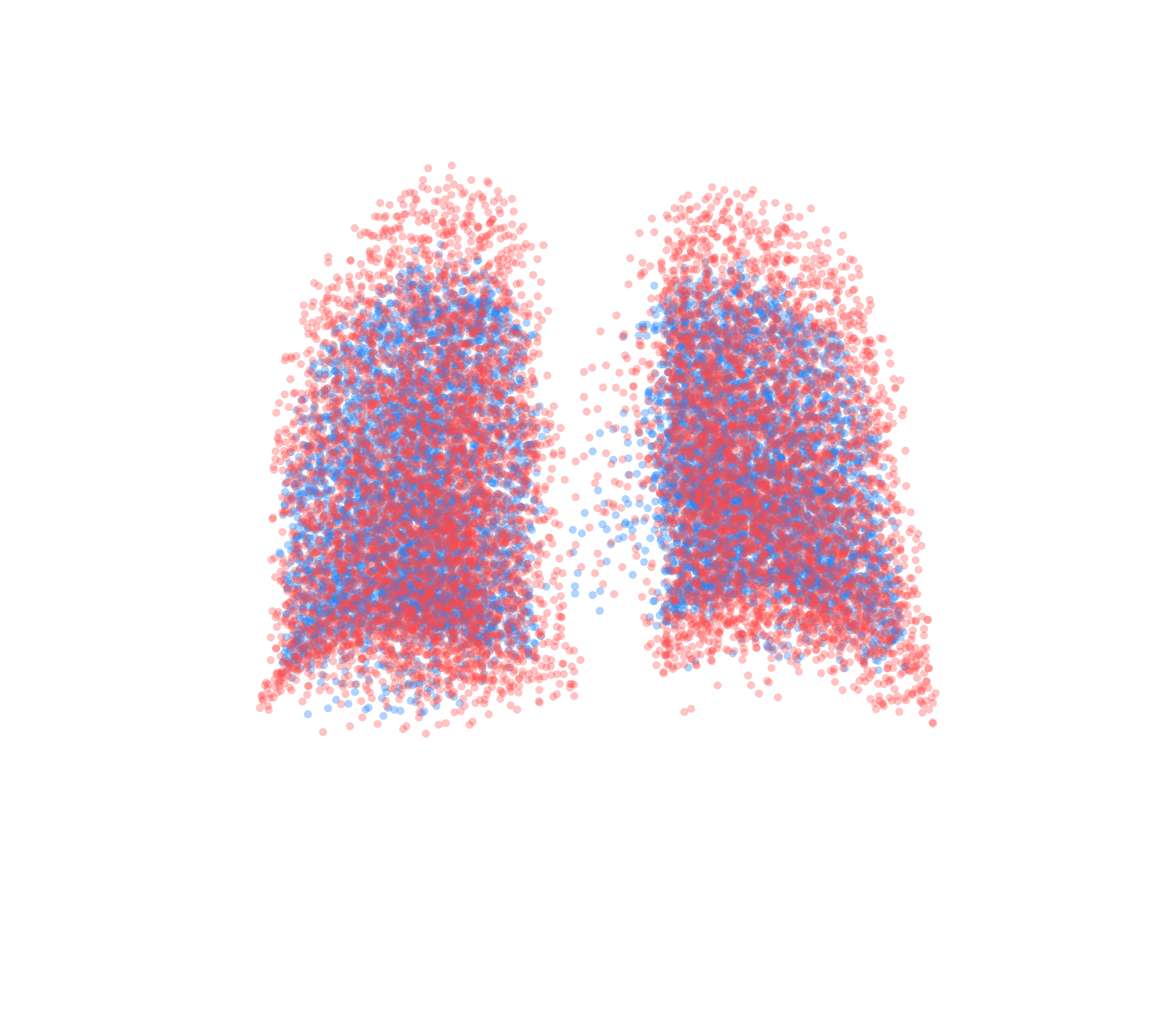 Point Cloud - Back View