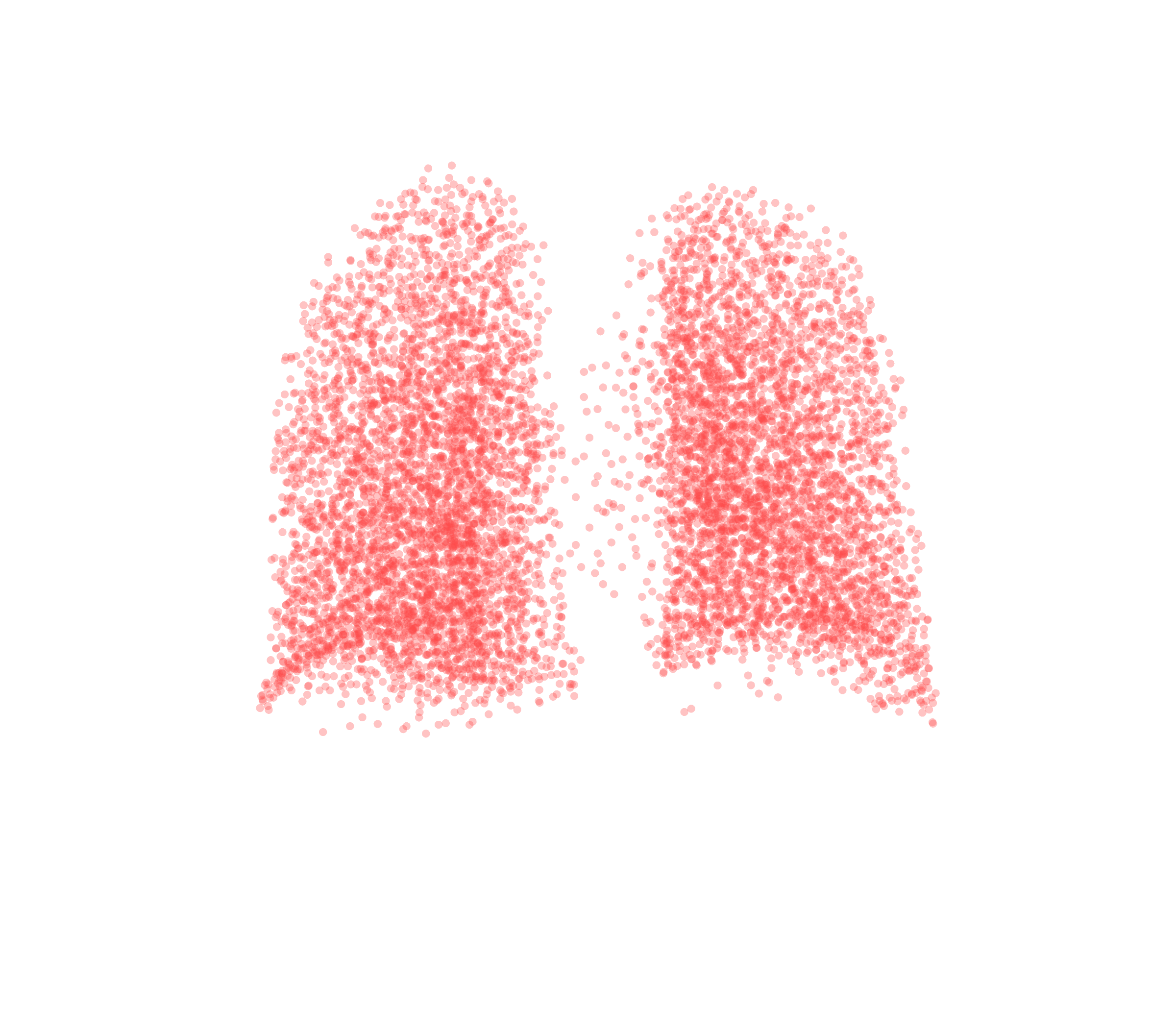 Point Cloud (Expiration) - Back View