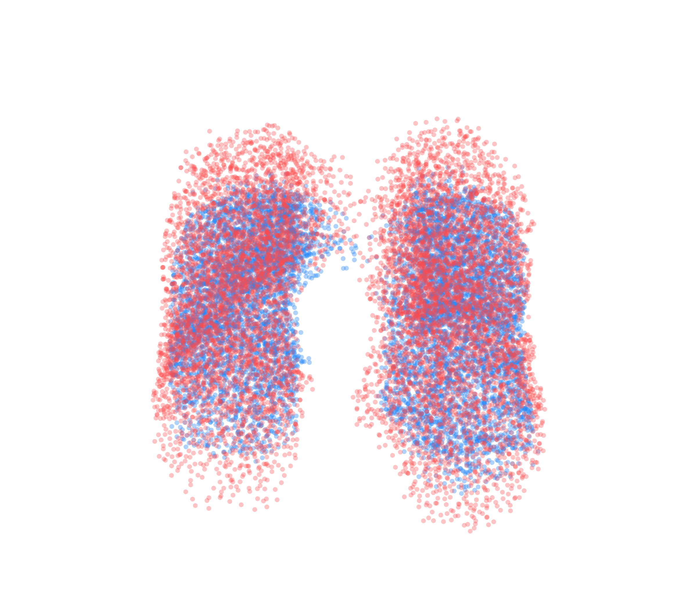 Point Cloud - Front View