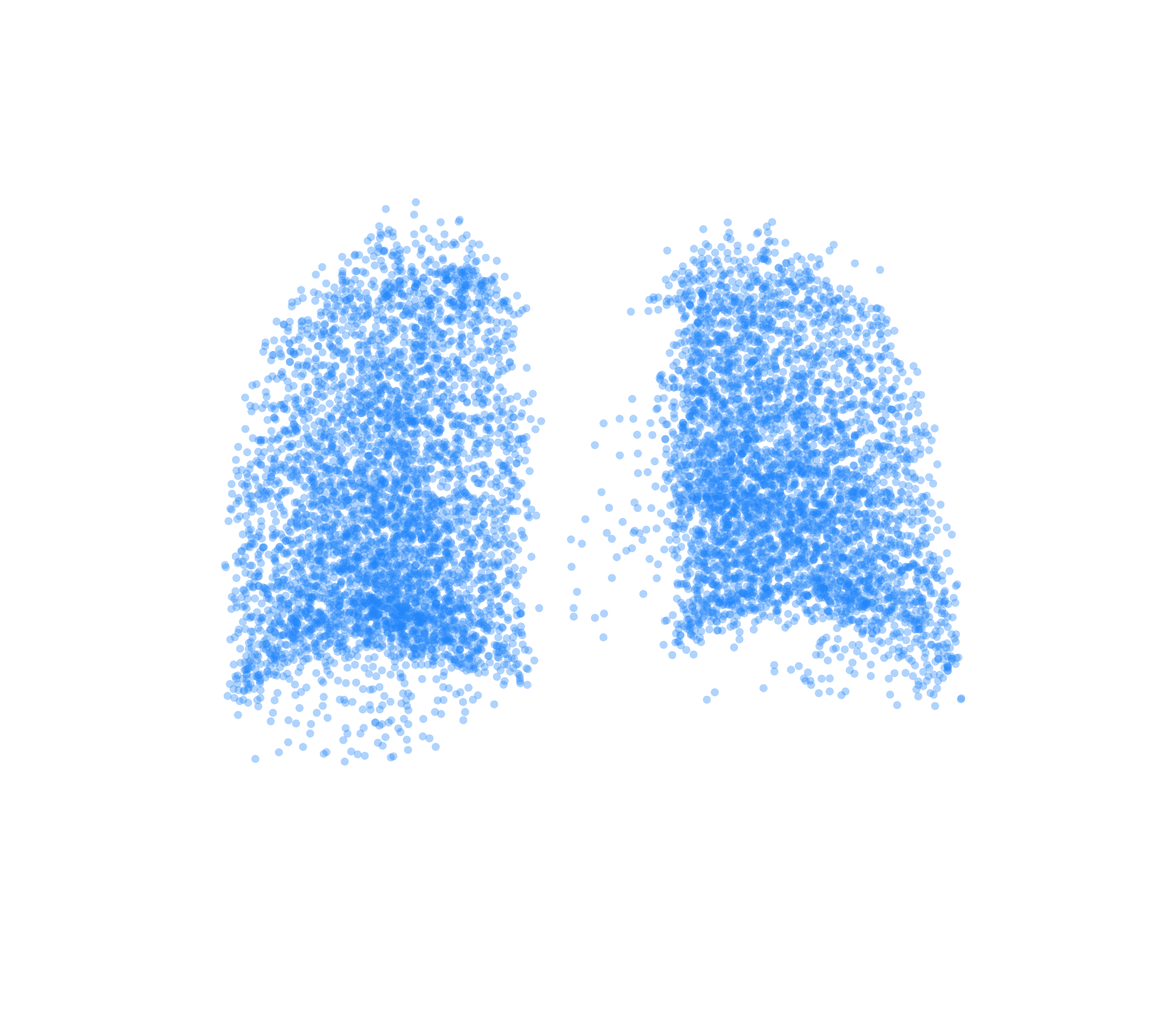 Point Cloud (Inspiration) - Back View