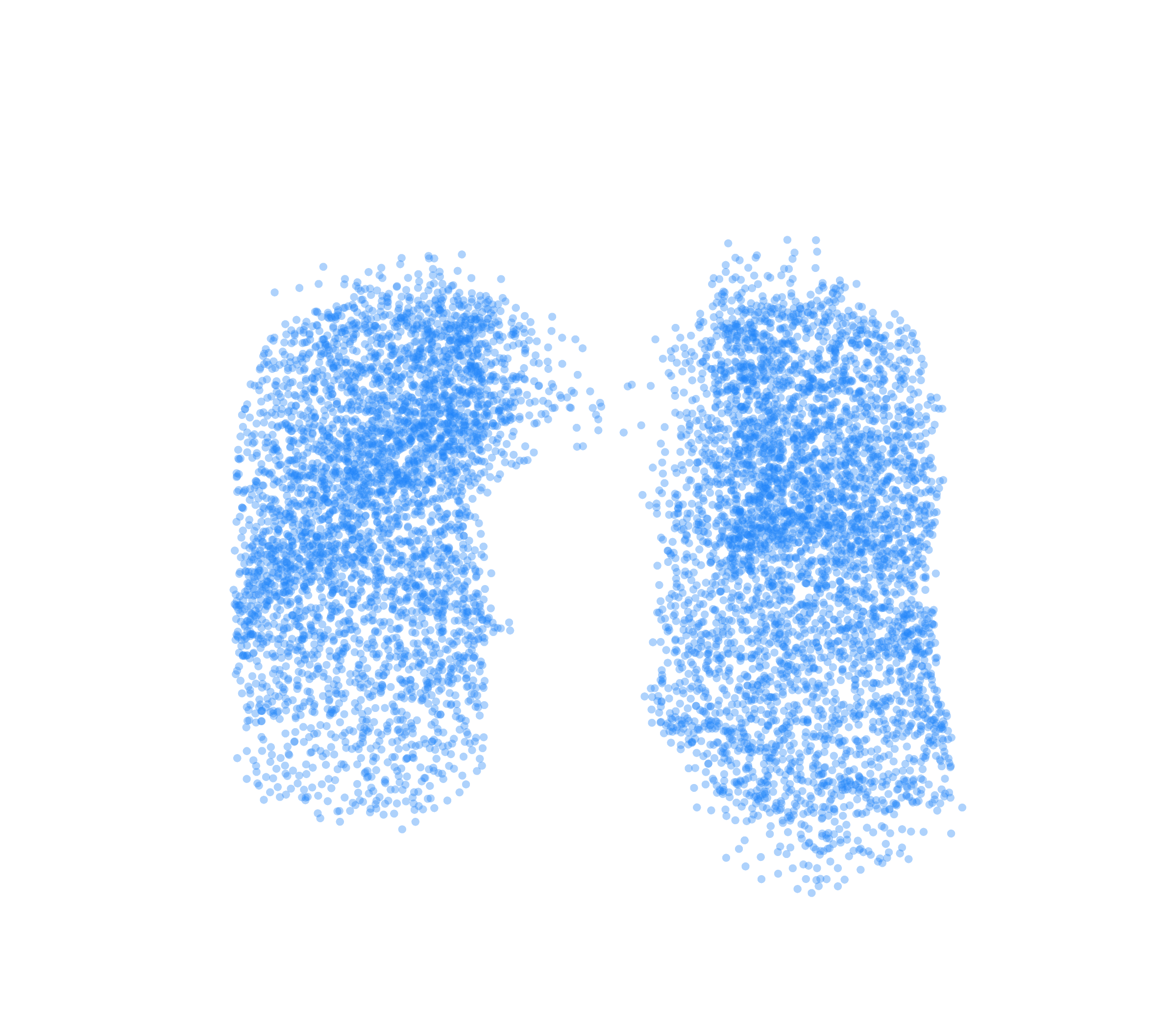 Point Cloud (Inspiration) - Front View