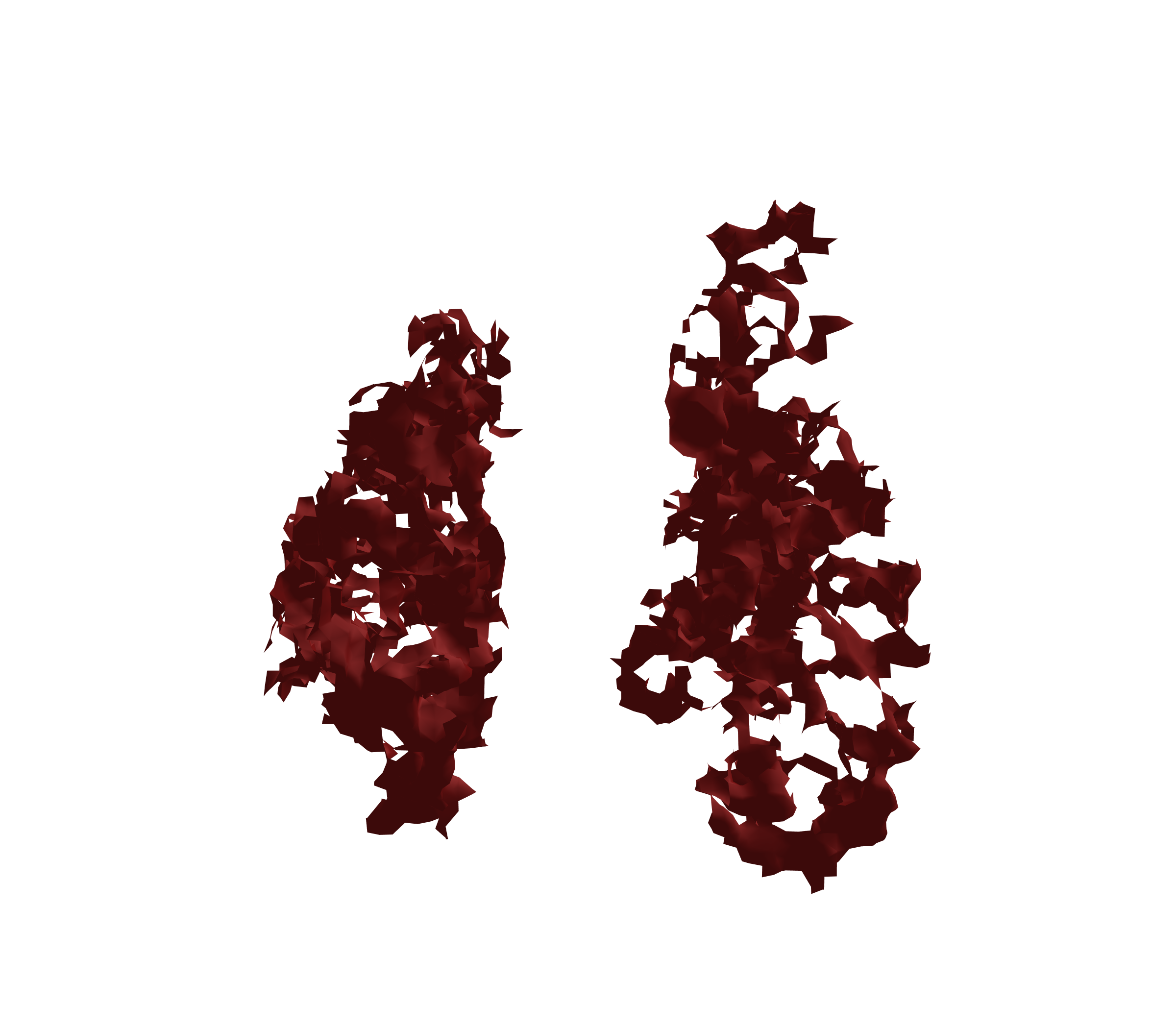 Surface Mesh (Expiration) - Front View