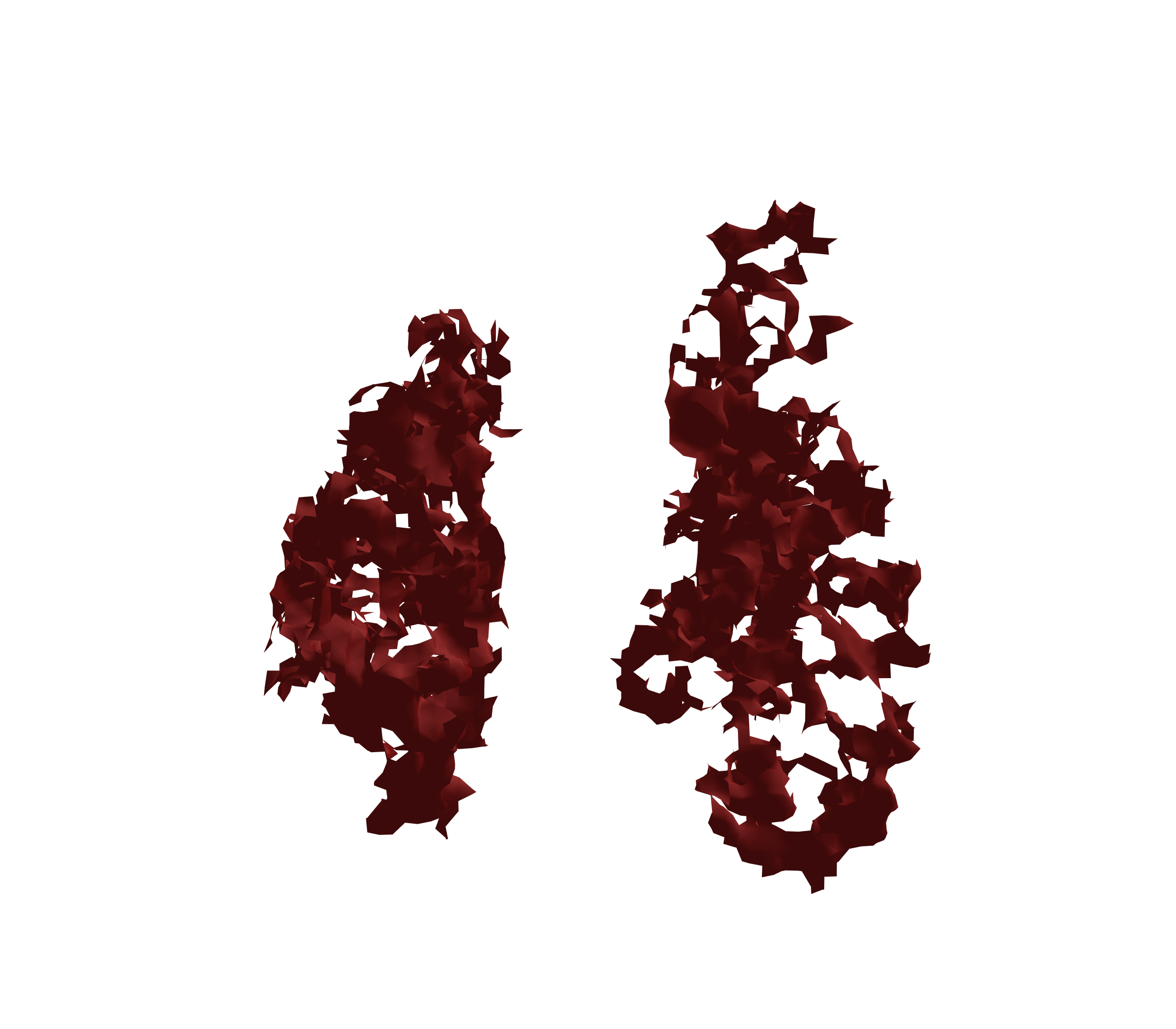 Surface Mesh (Expiration) - Front View