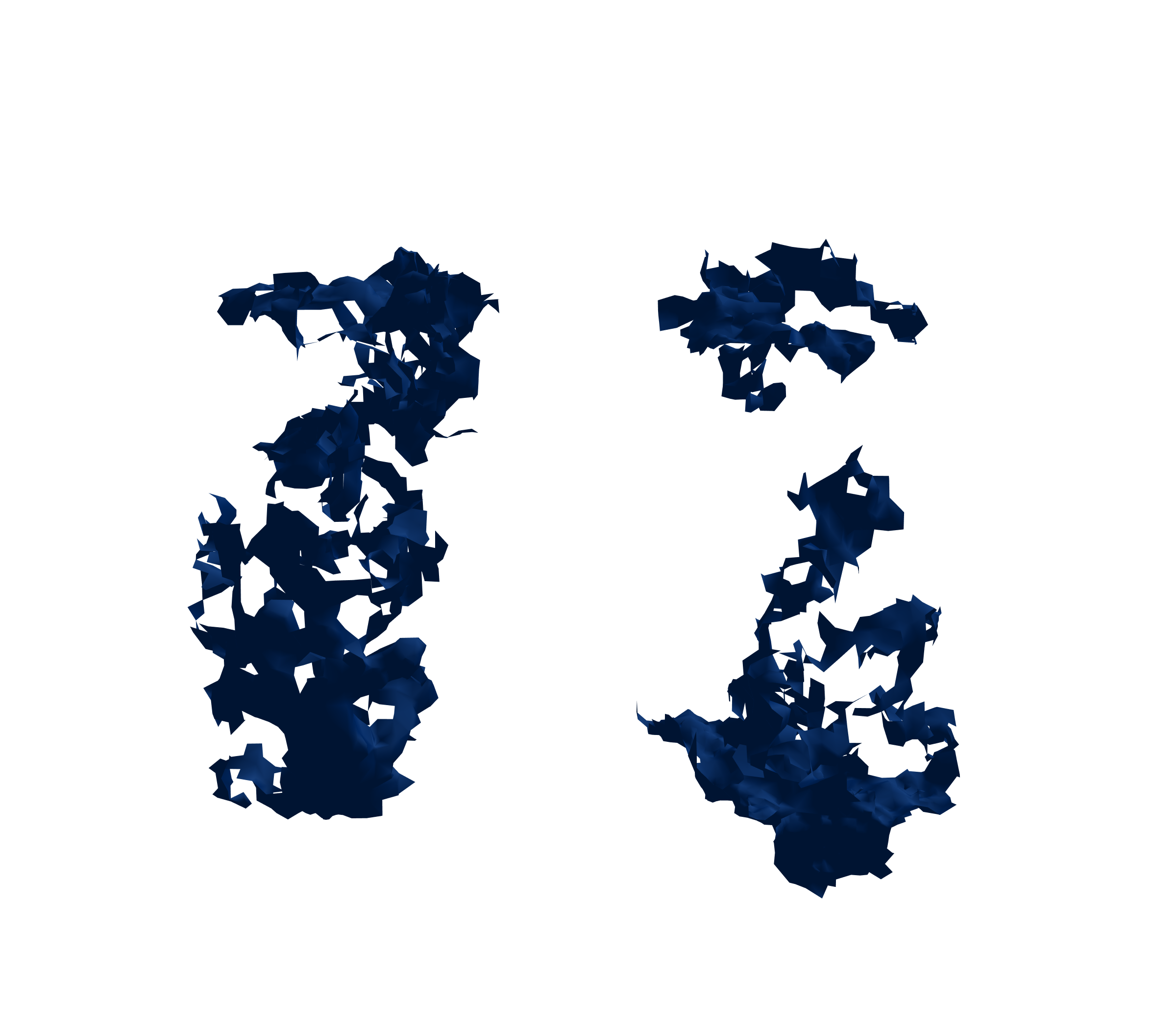 Surface Mesh (Inspiration) - Front View