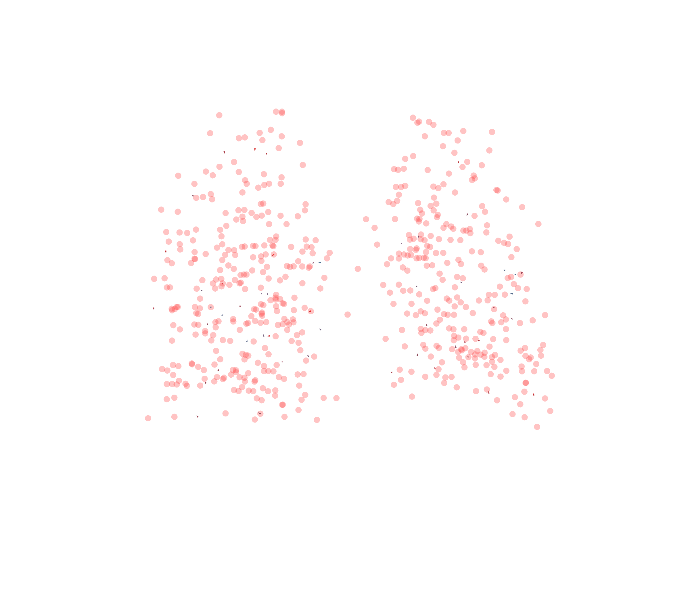 Displacement Vectors - Back View