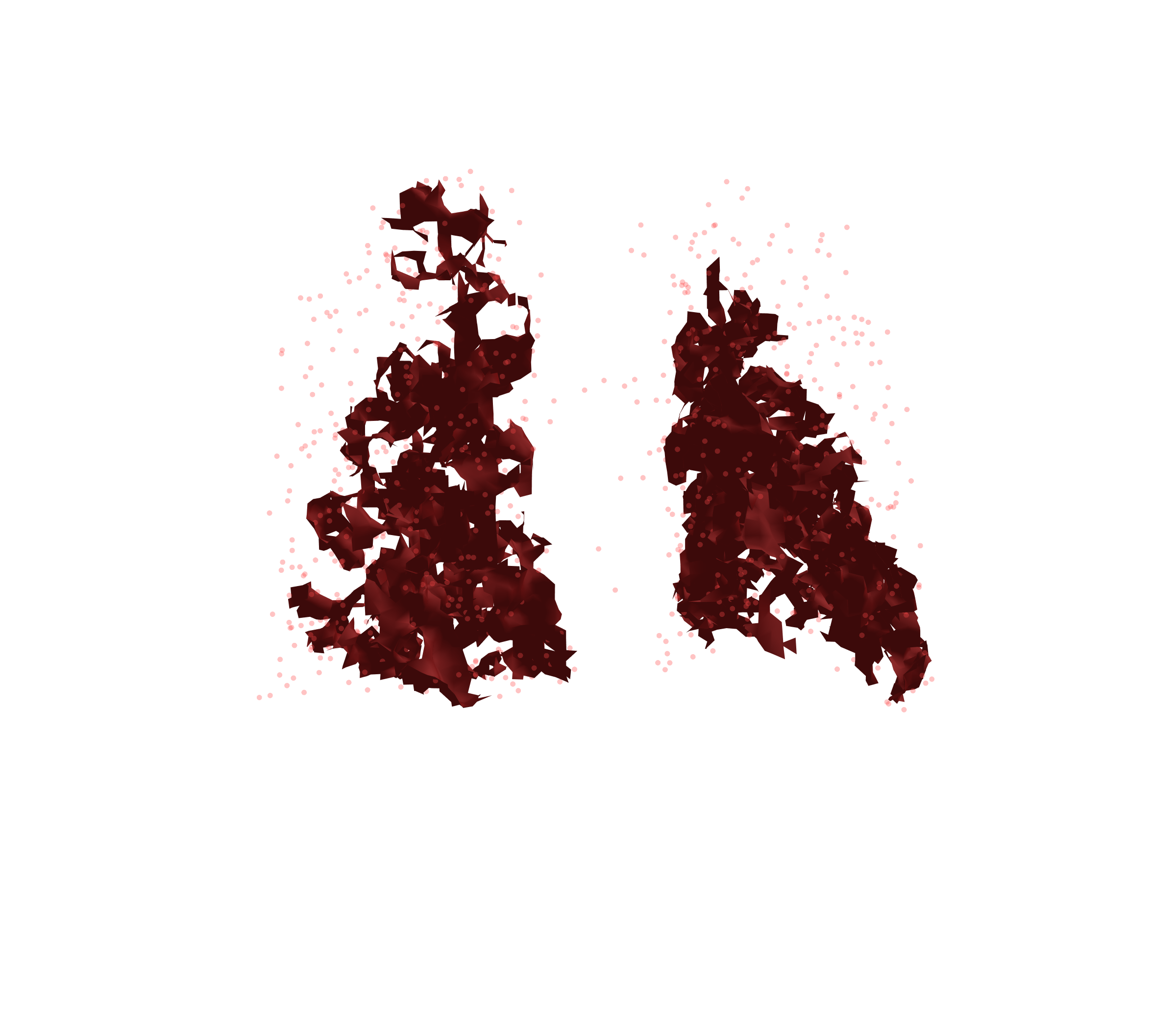 Combined Visualization (Expiration) - Back View