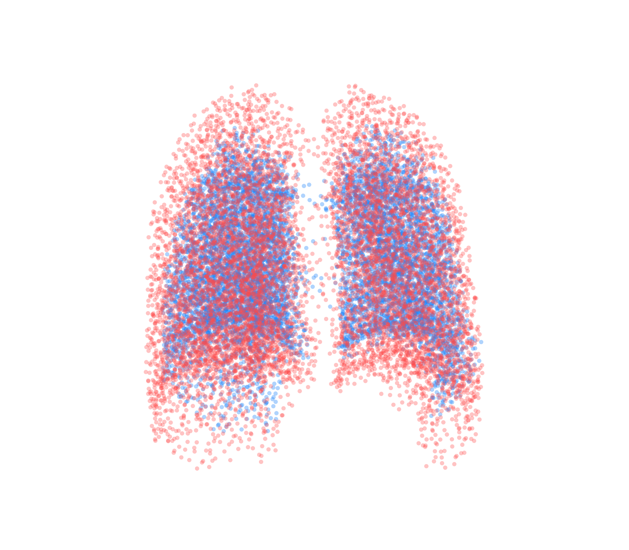 Point Cloud - Back View