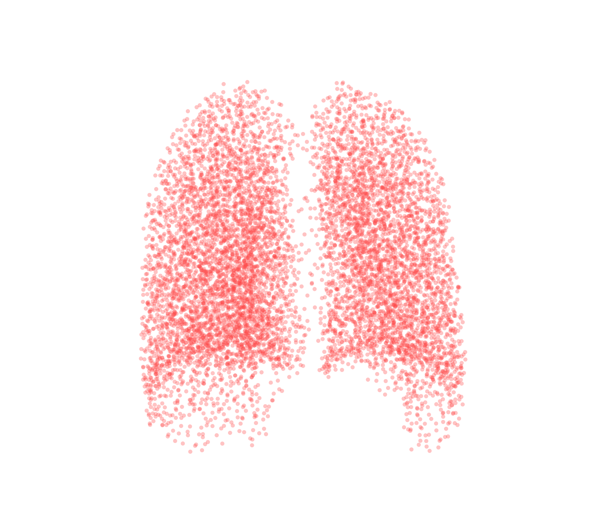 Point Cloud (Expiration) - Back View