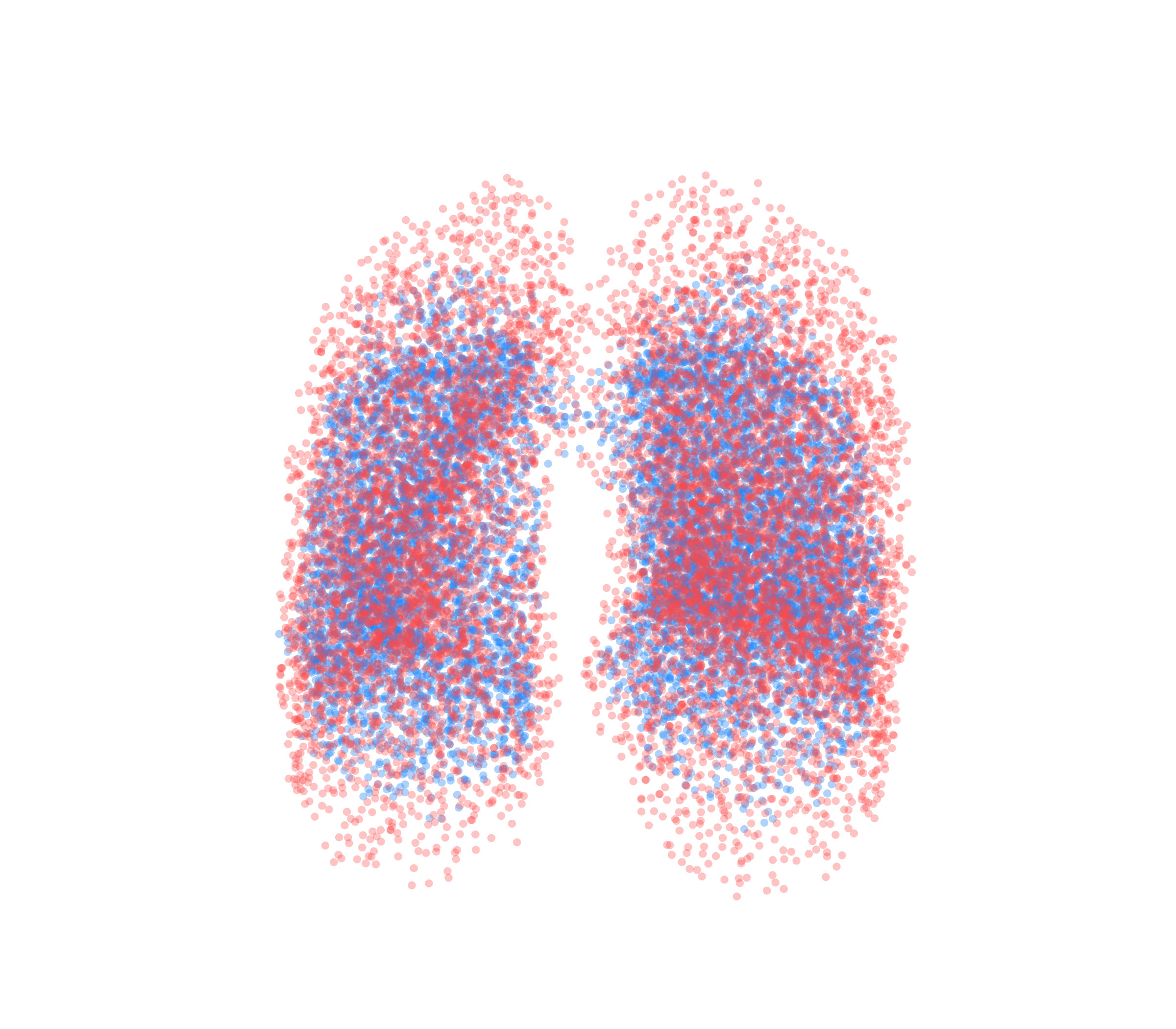 Point Cloud - Front View