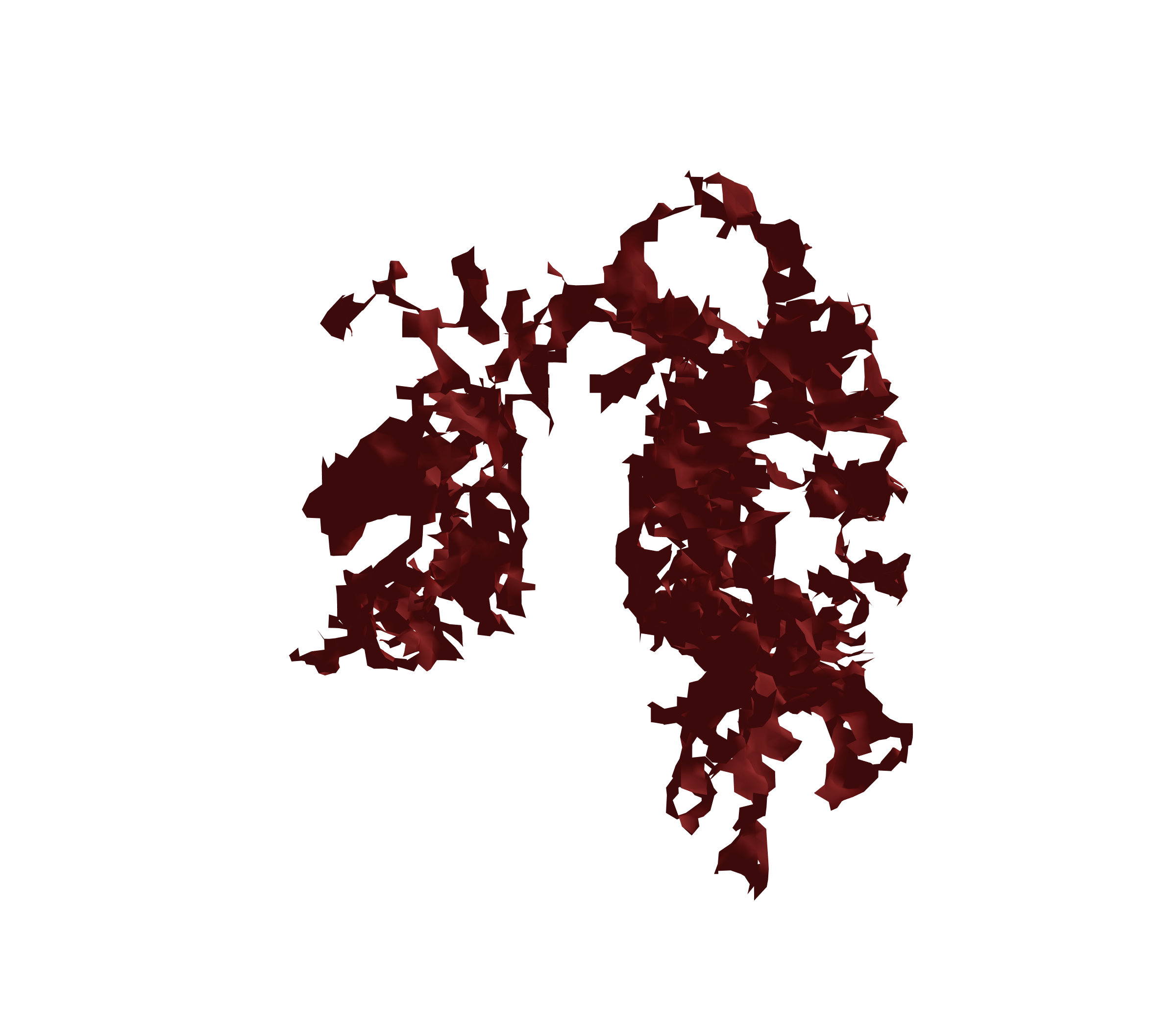 Surface Mesh (Expiration) - Front View