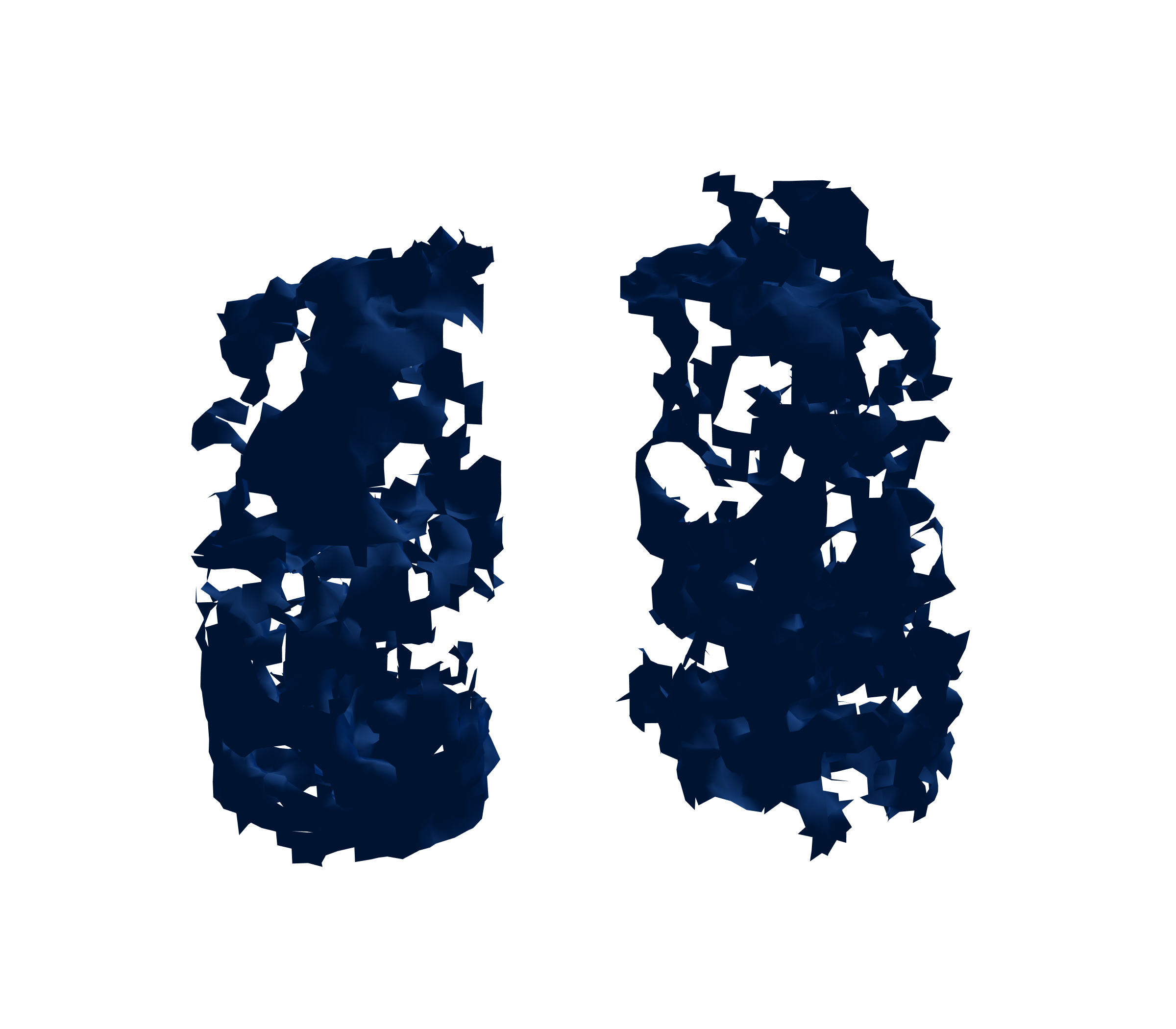 Surface Mesh (Inspiration) - Front View