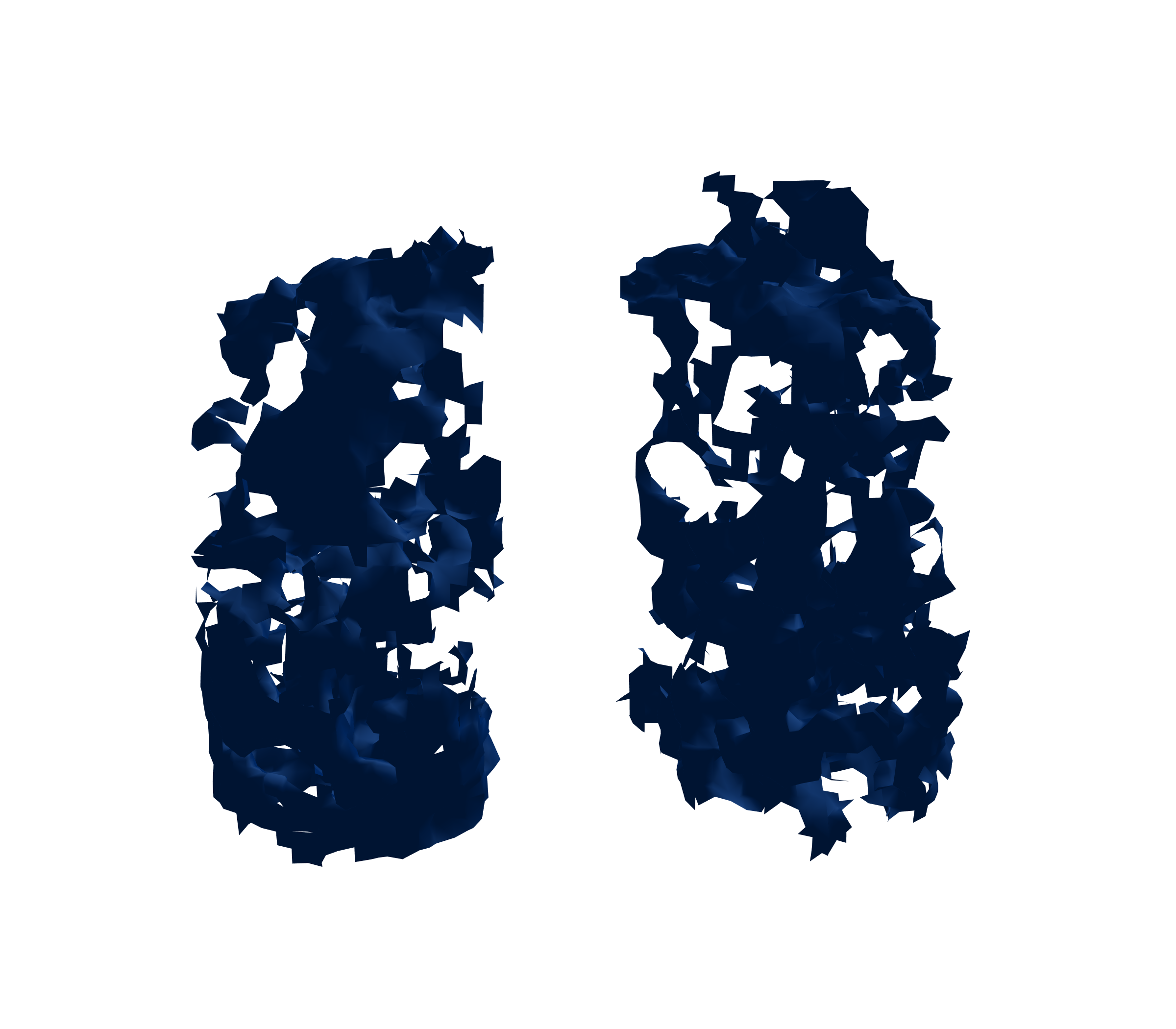 Surface Mesh (Inspiration) - Front View