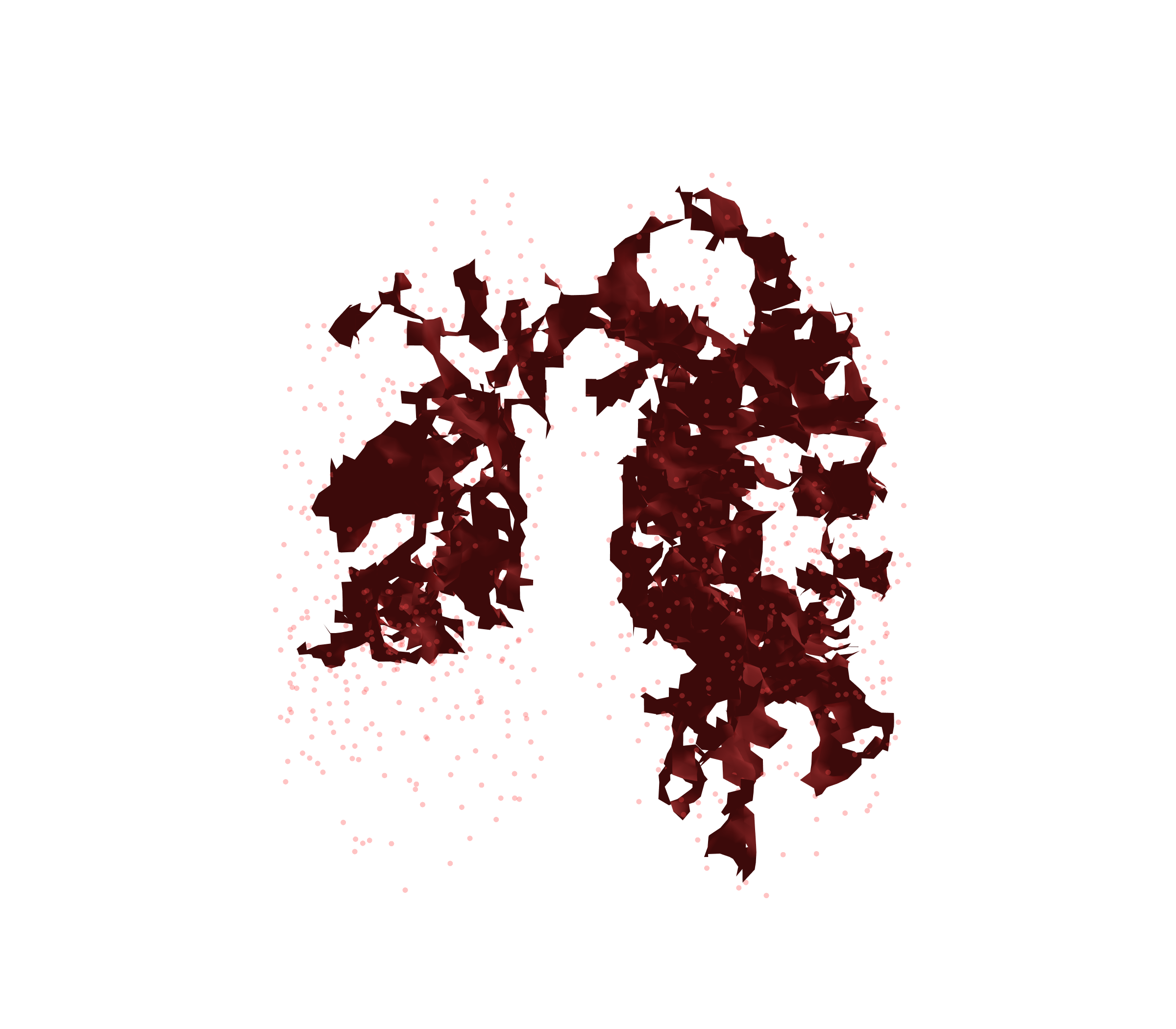 Combined Visualization (Expiration) - Front View