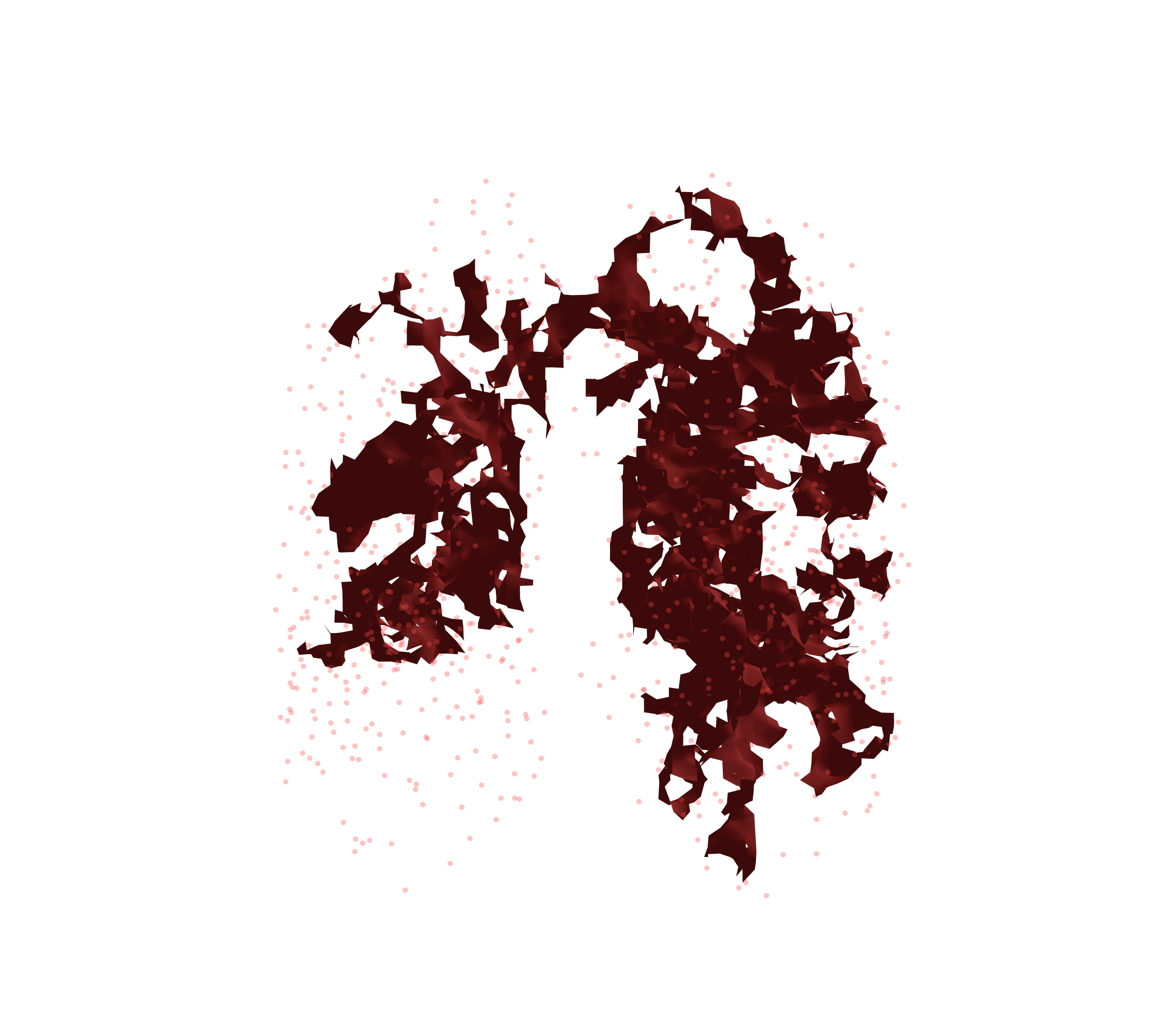 Combined Visualization (Expiration) - Front View