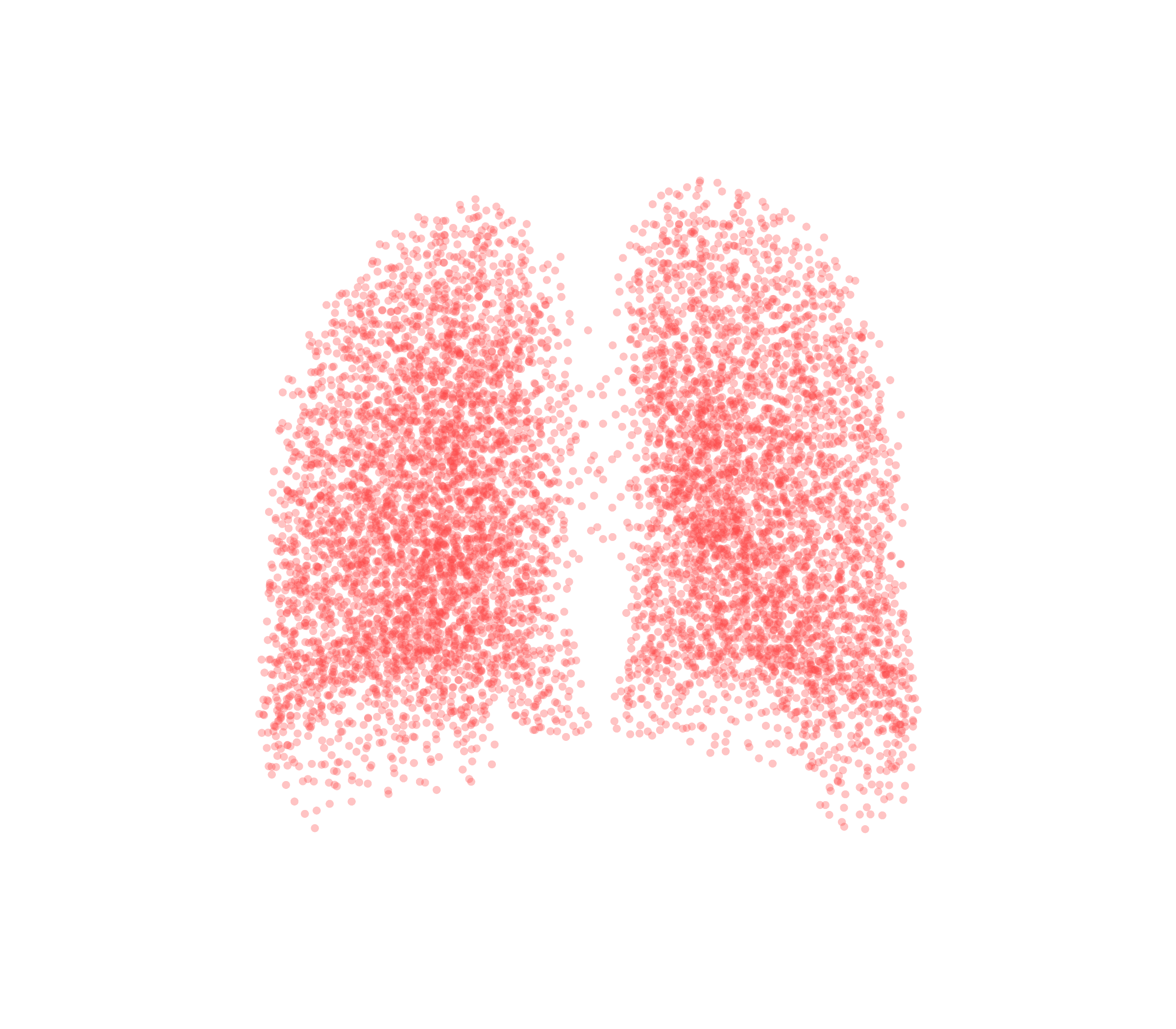 Point Cloud (Expiration) - Back View