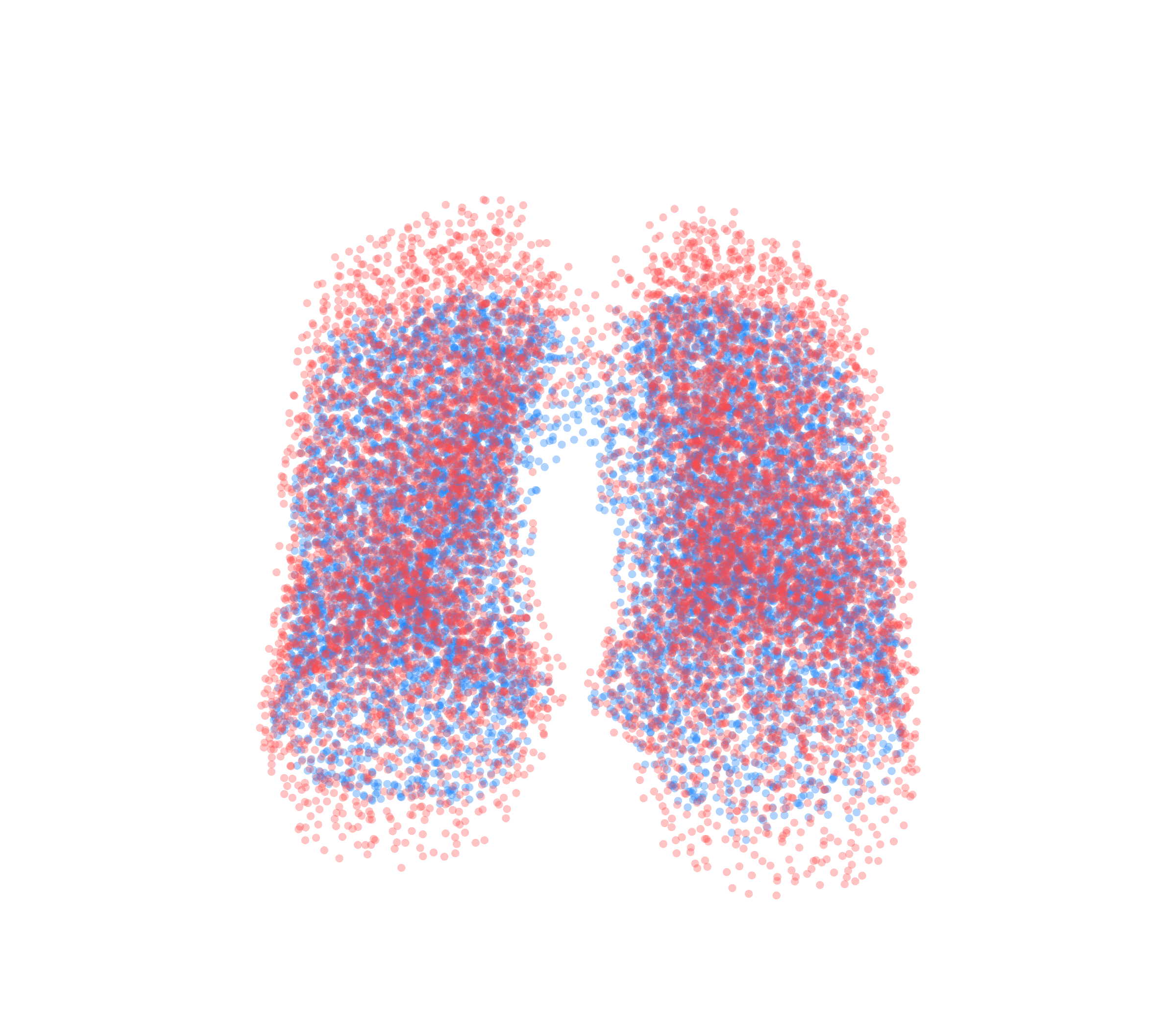 Point Cloud - Front View