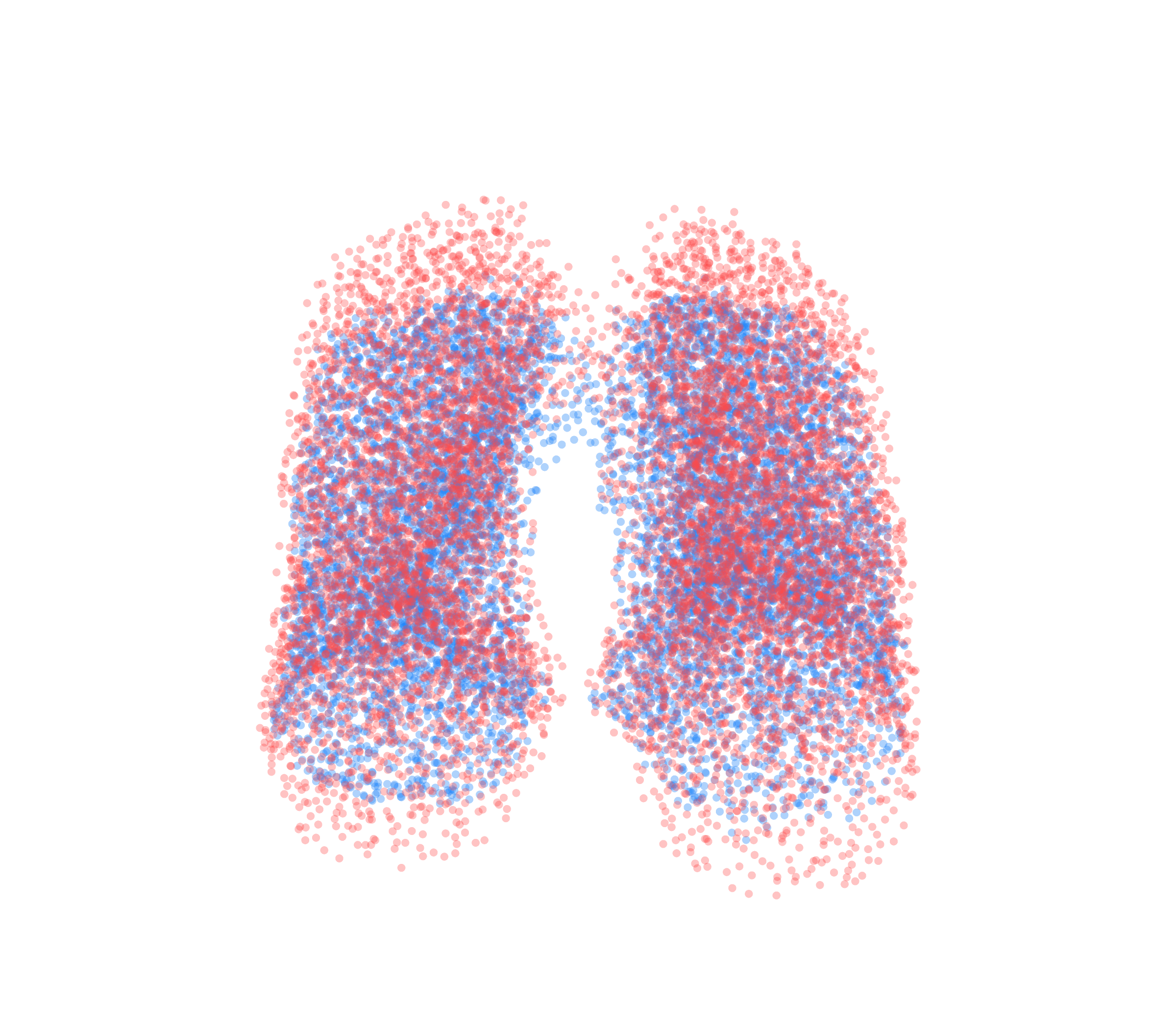 Point Cloud - Front View