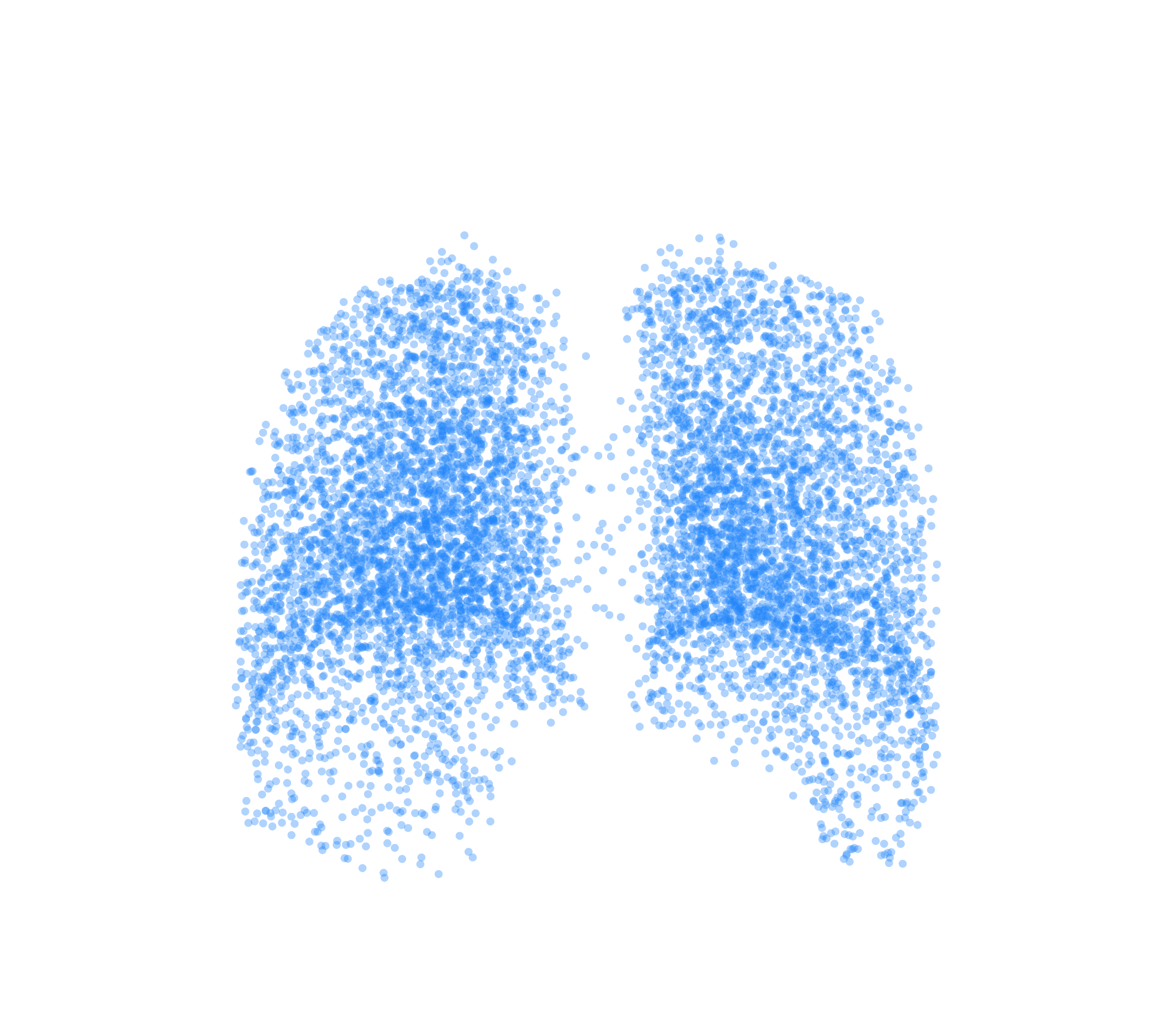 Point Cloud (Inspiration) - Back View