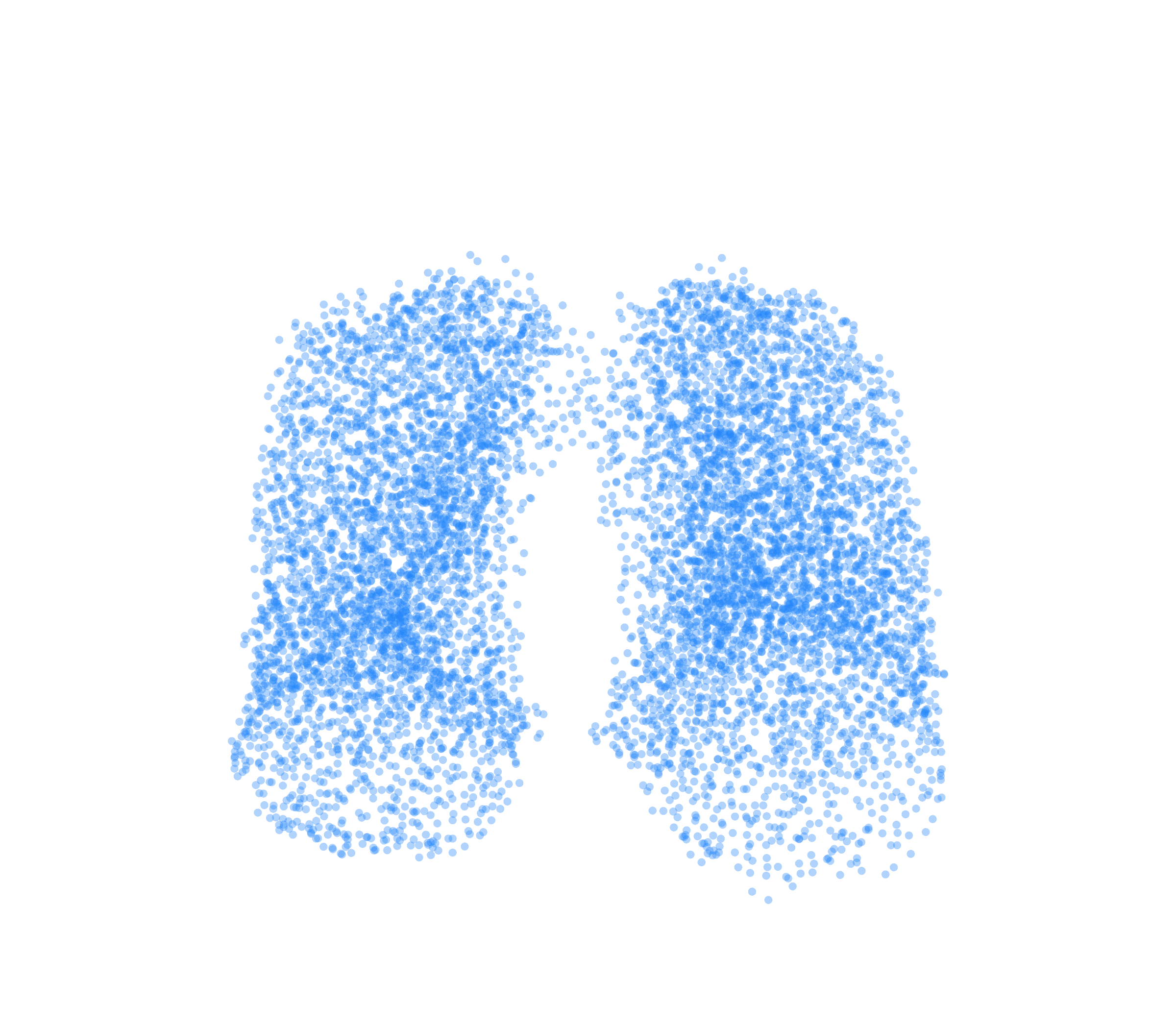 Point Cloud (Inspiration) - Front View