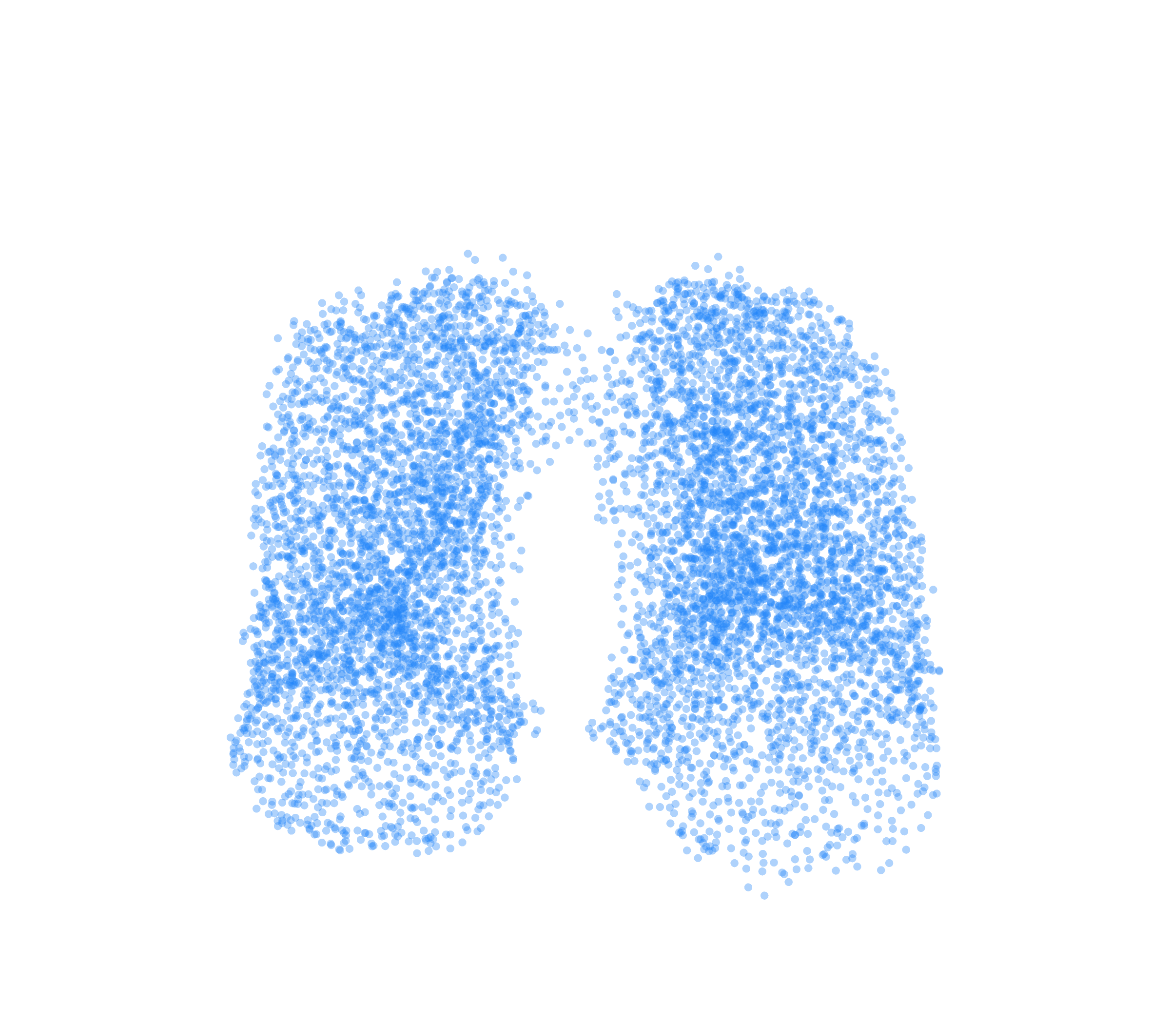Point Cloud (Inspiration) - Front View