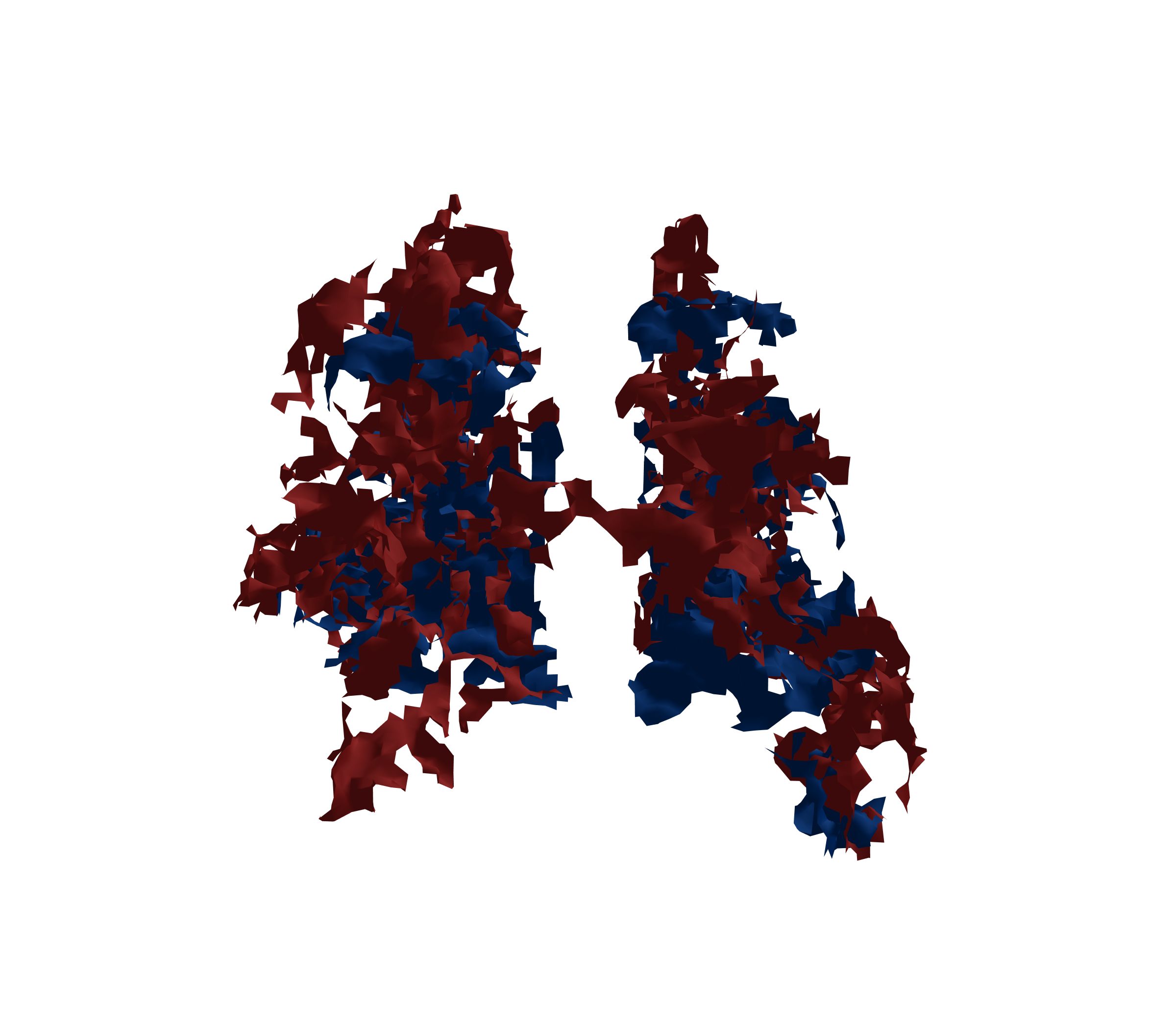 Surface Mesh - Back View