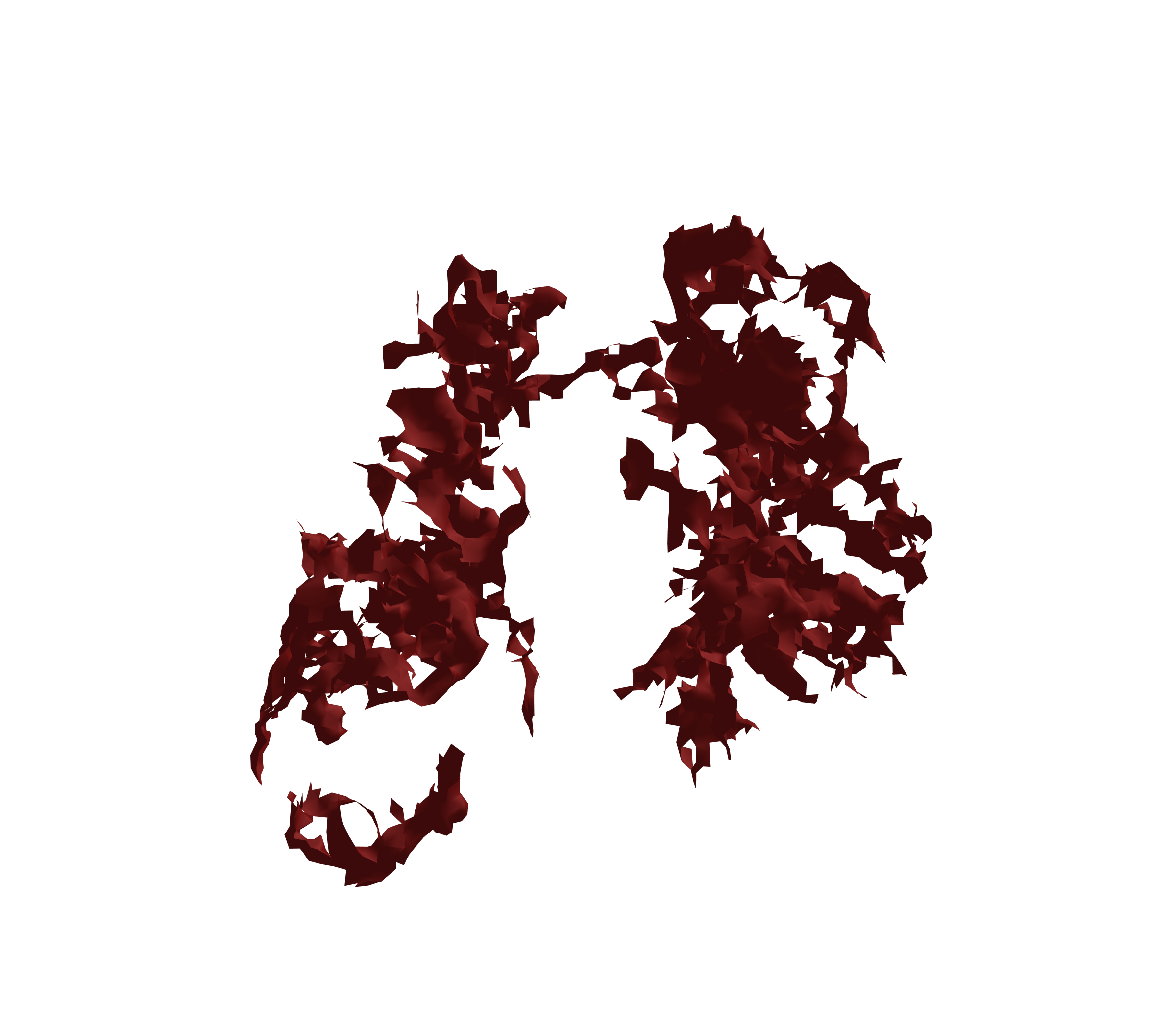 Surface Mesh (Expiration) - Front View