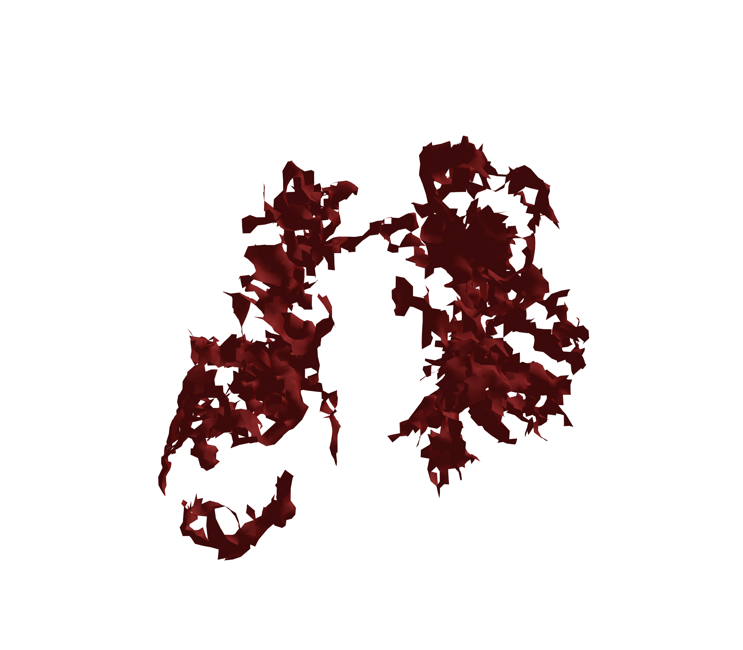 Surface Mesh (Expiration) - Front View