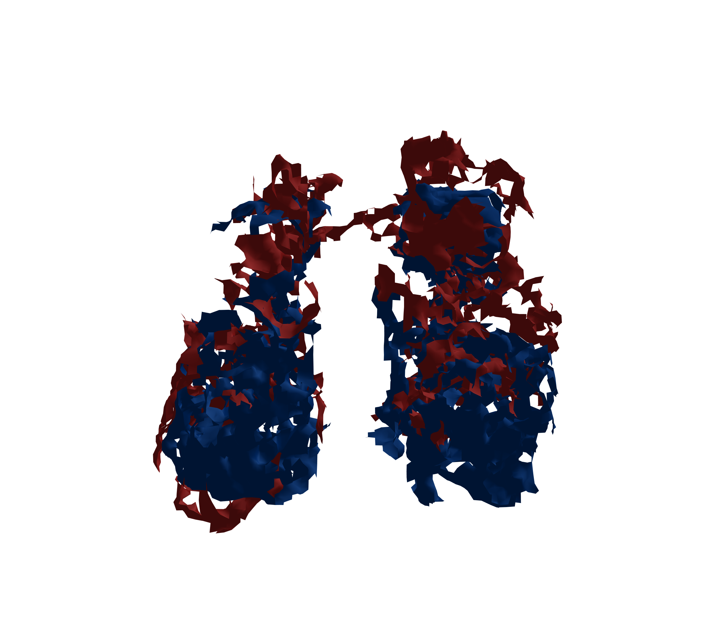 Surface Mesh - Front View