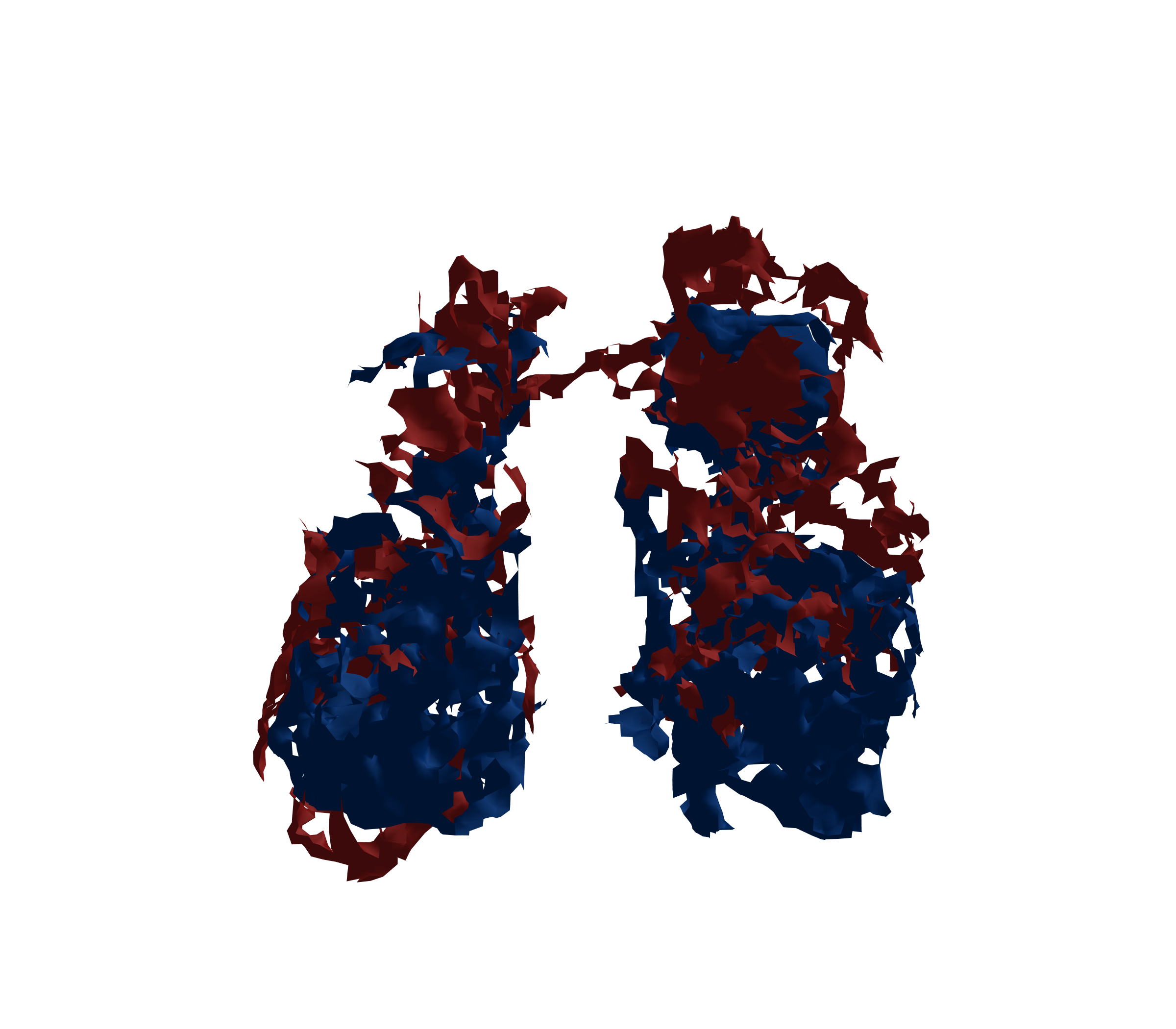 Surface Mesh - Front View