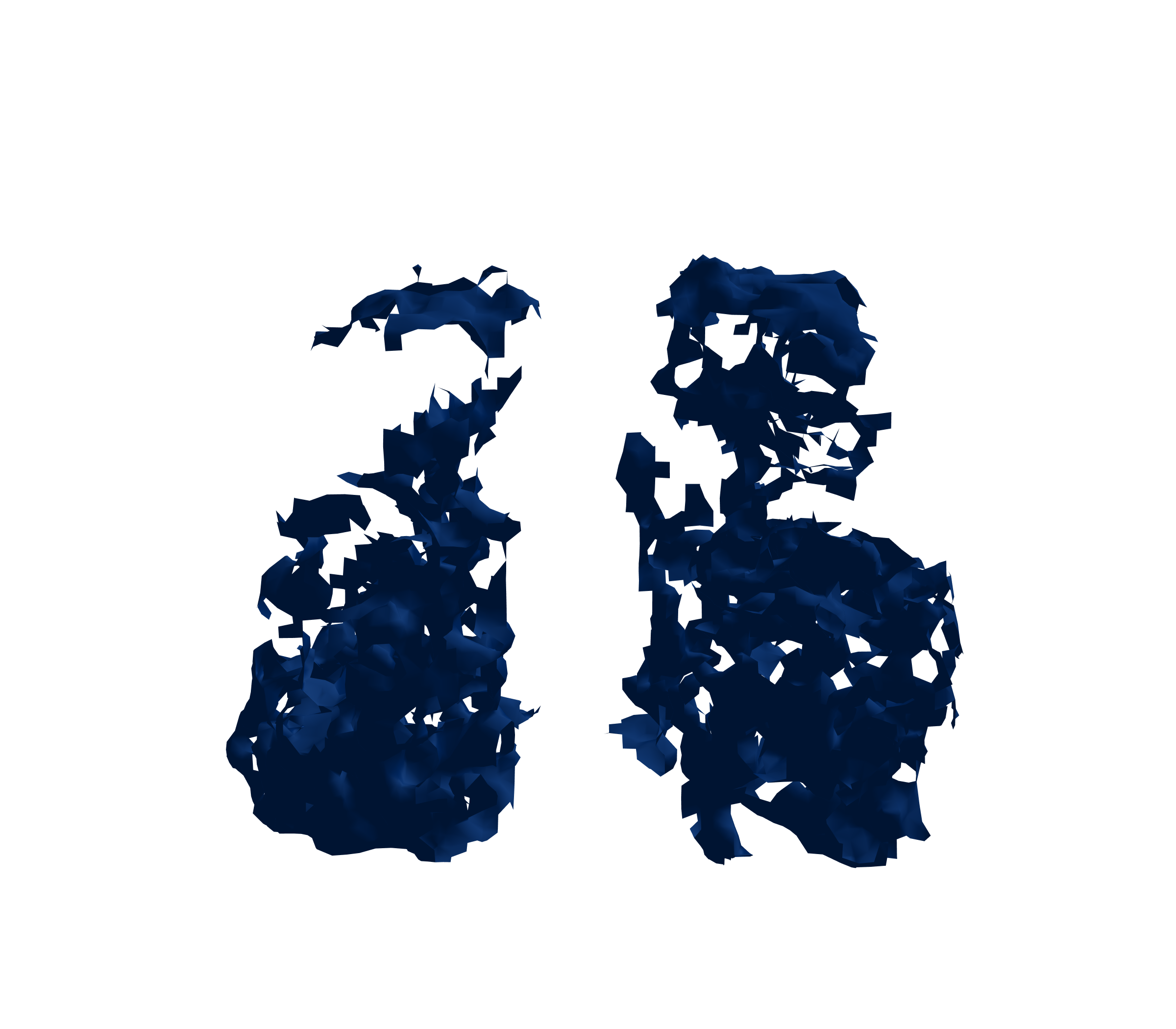 Surface Mesh (Inspiration) - Front View