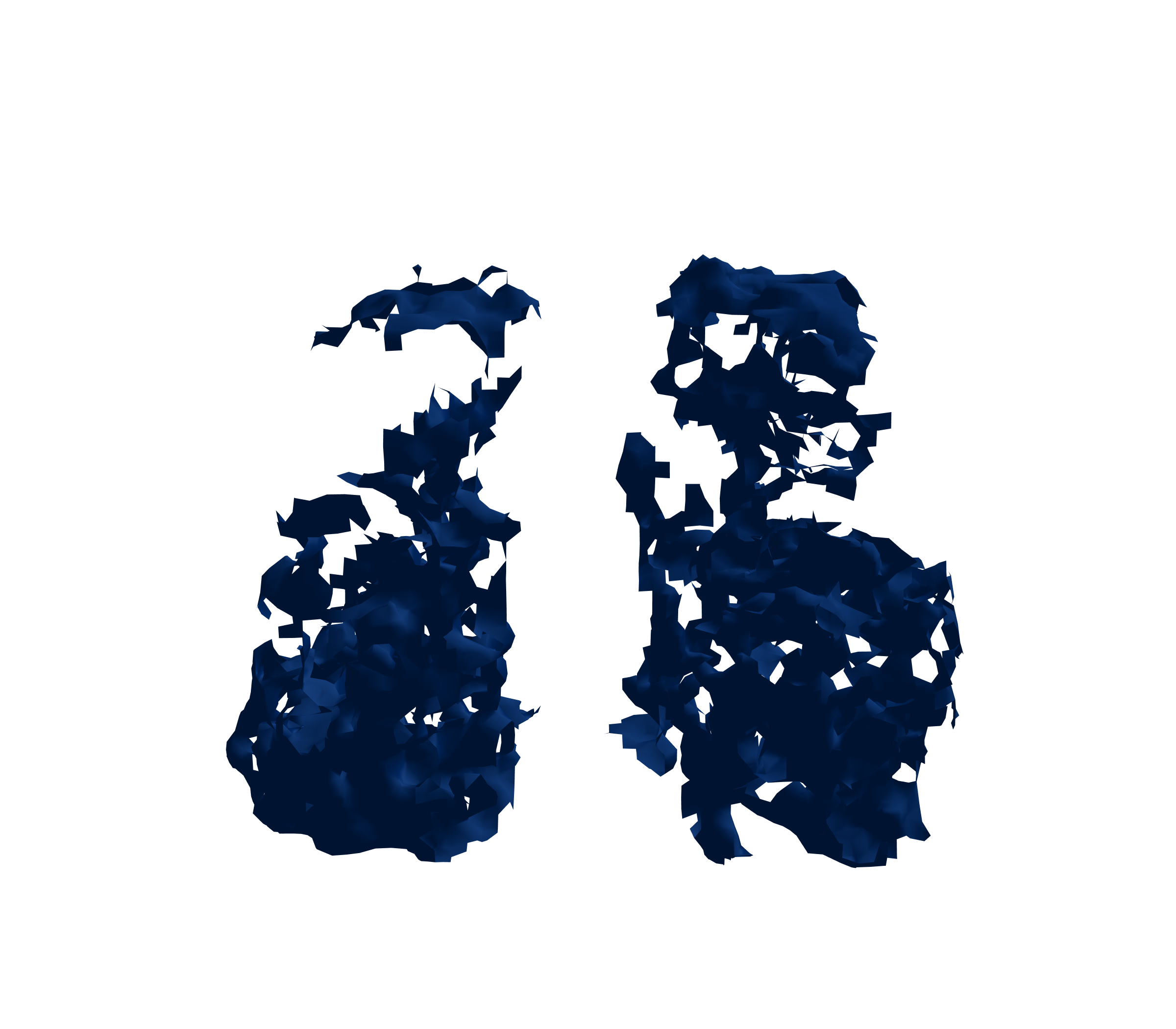 Surface Mesh (Inspiration) - Front View