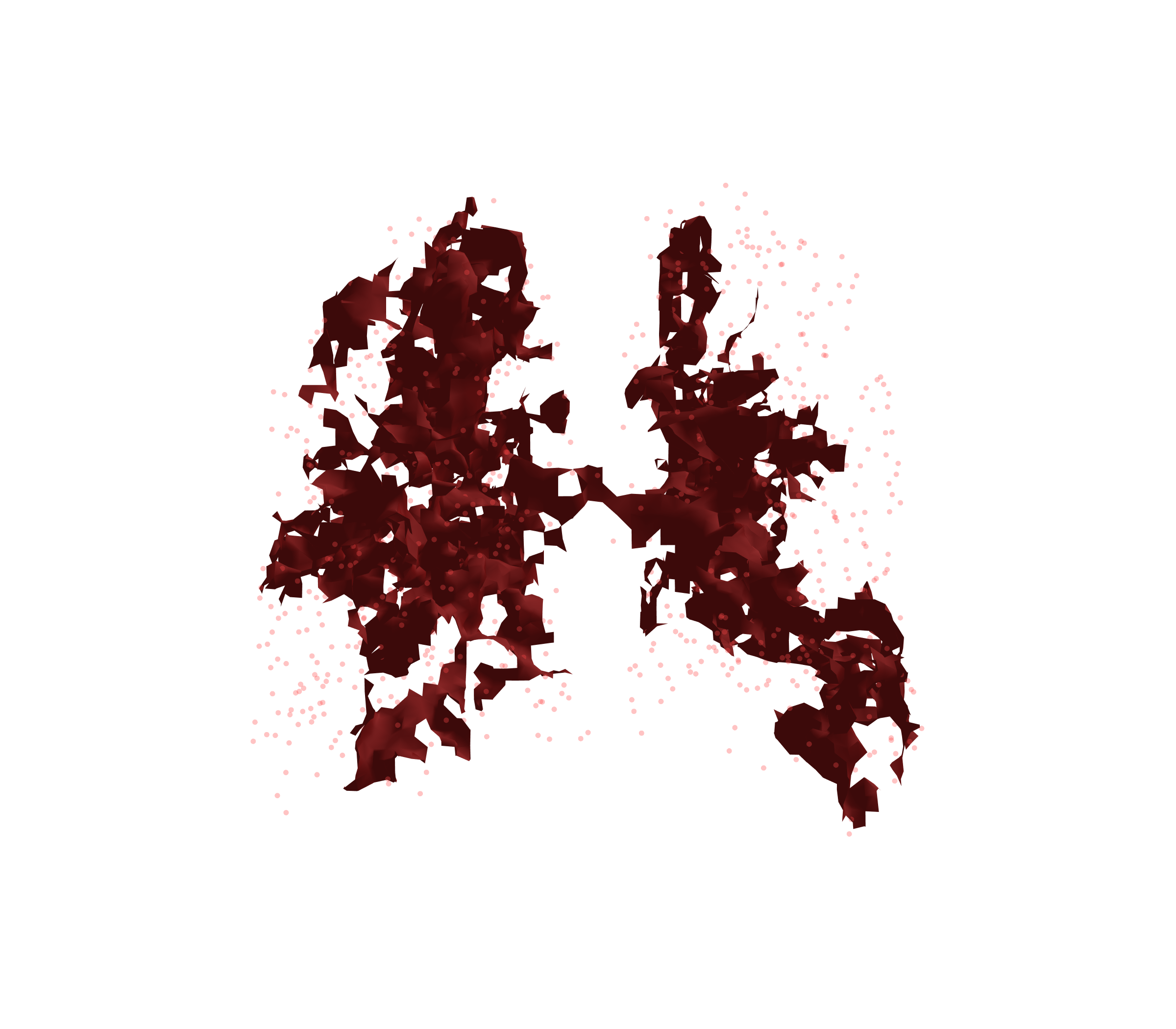 Combined Visualization (Expiration) - Back View