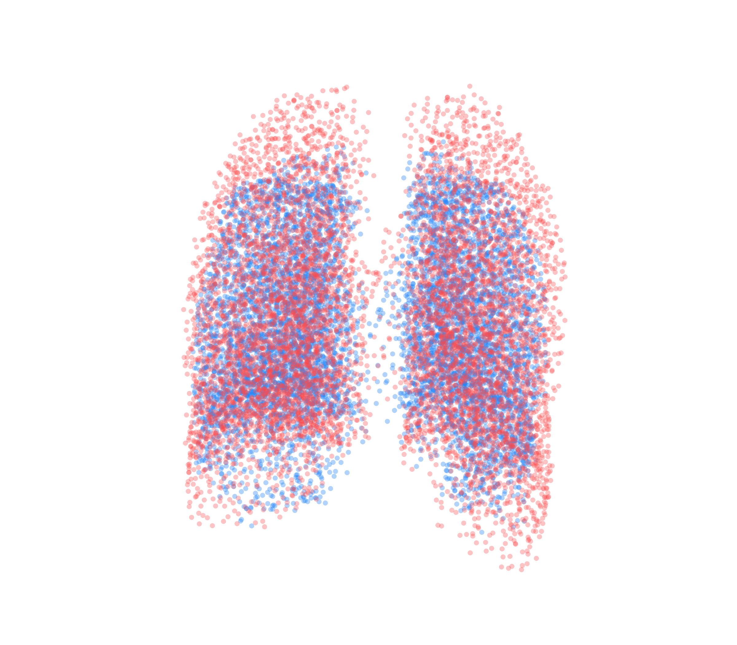 Point Cloud - Back View