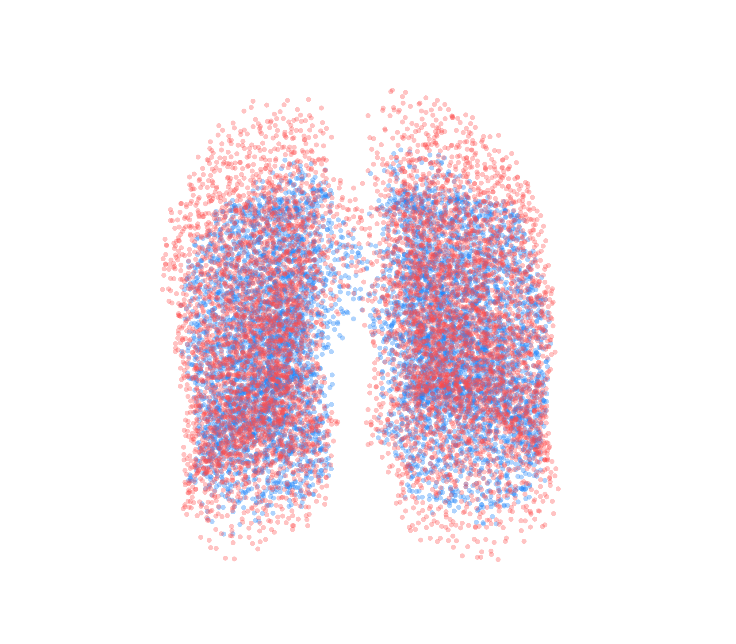 Point Cloud - Front View