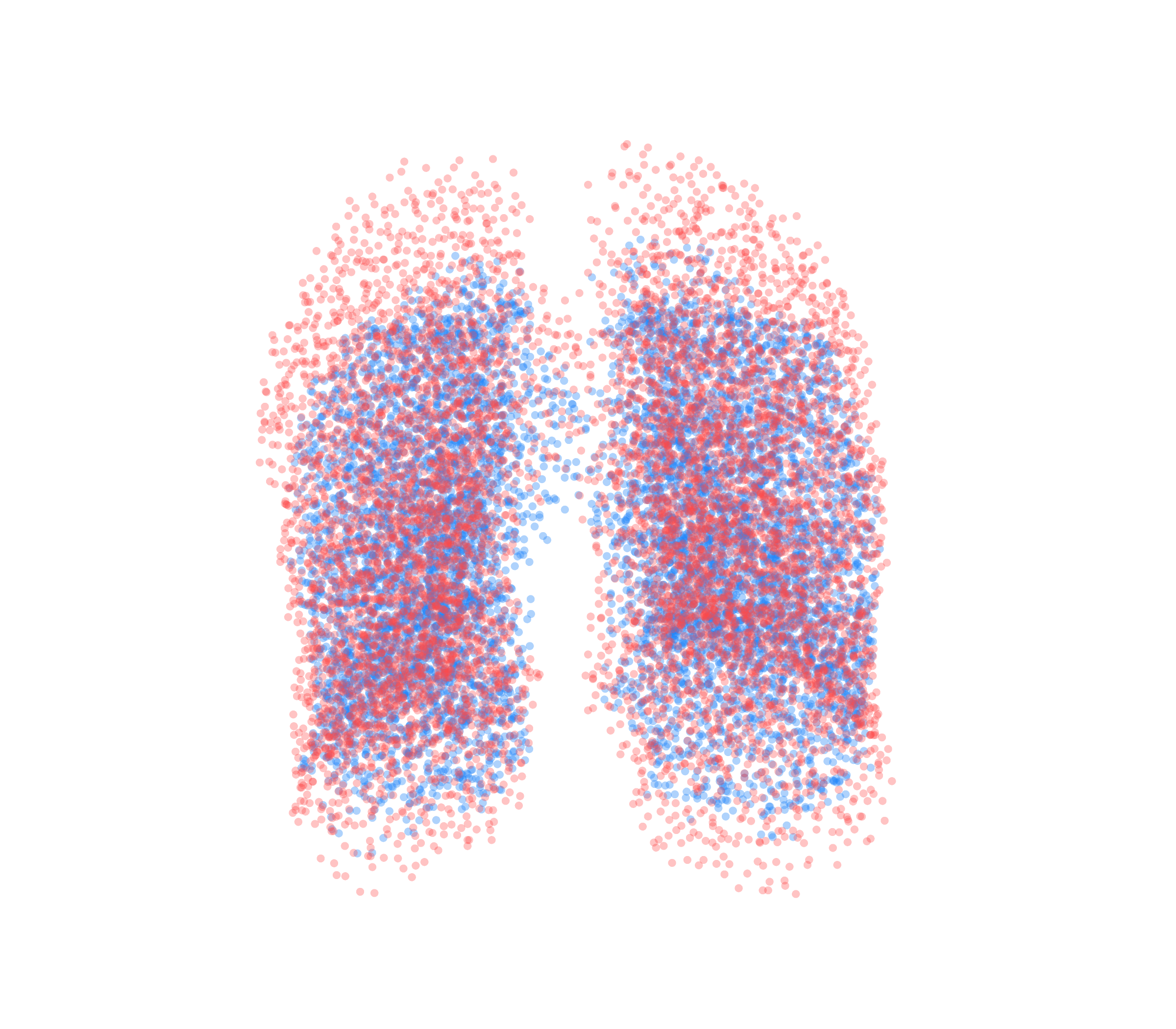 Point Cloud - Front View