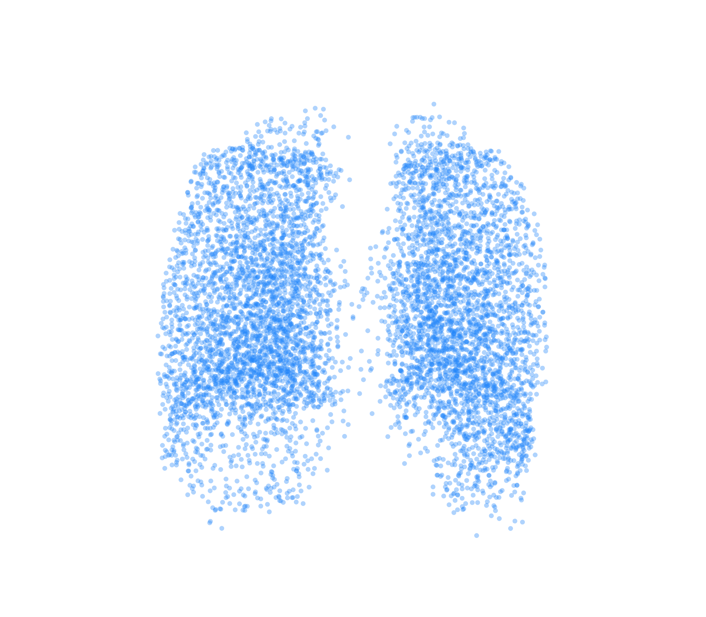 Point Cloud (Inspiration) - Back View