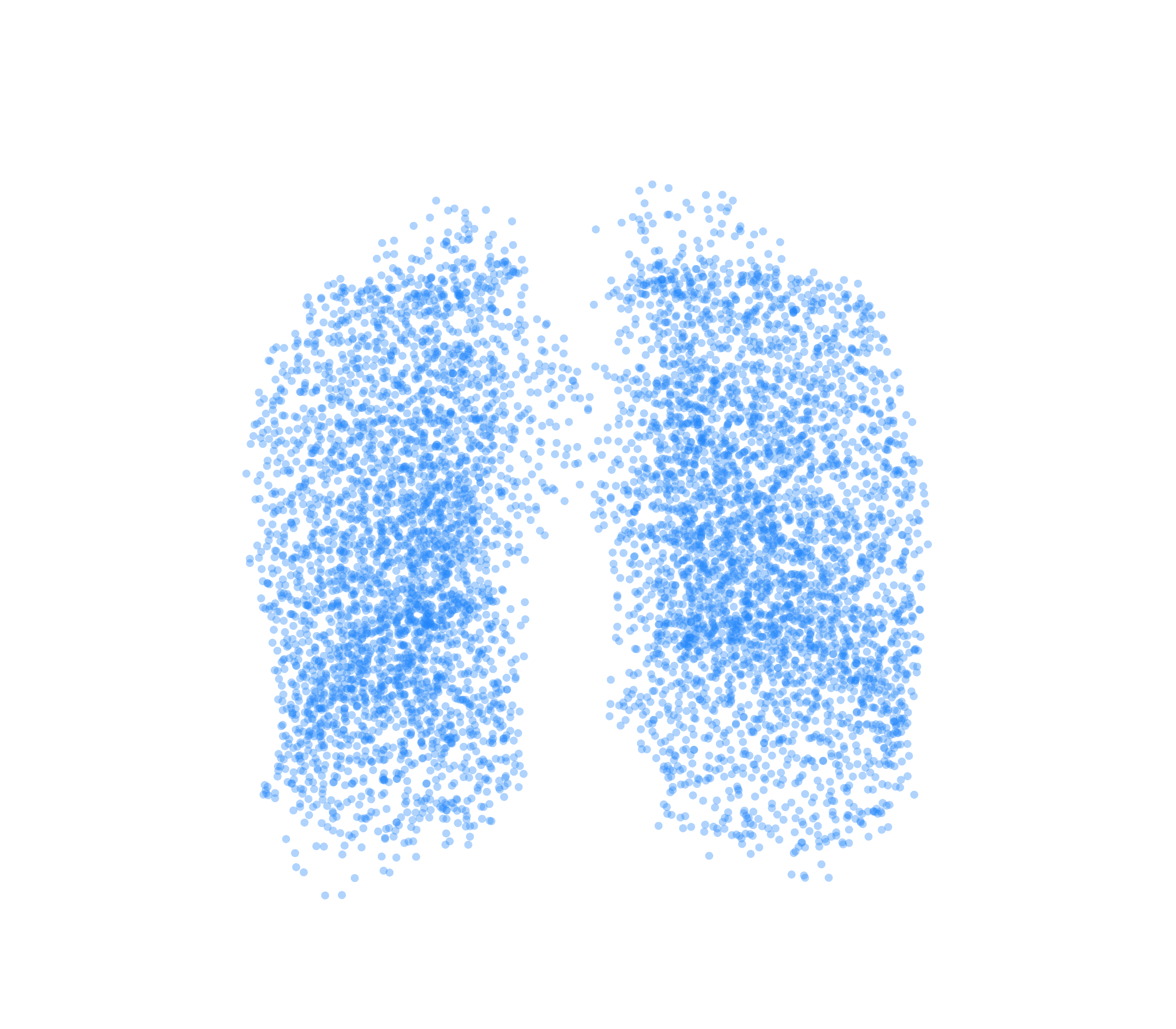 Point Cloud (Inspiration) - Front View