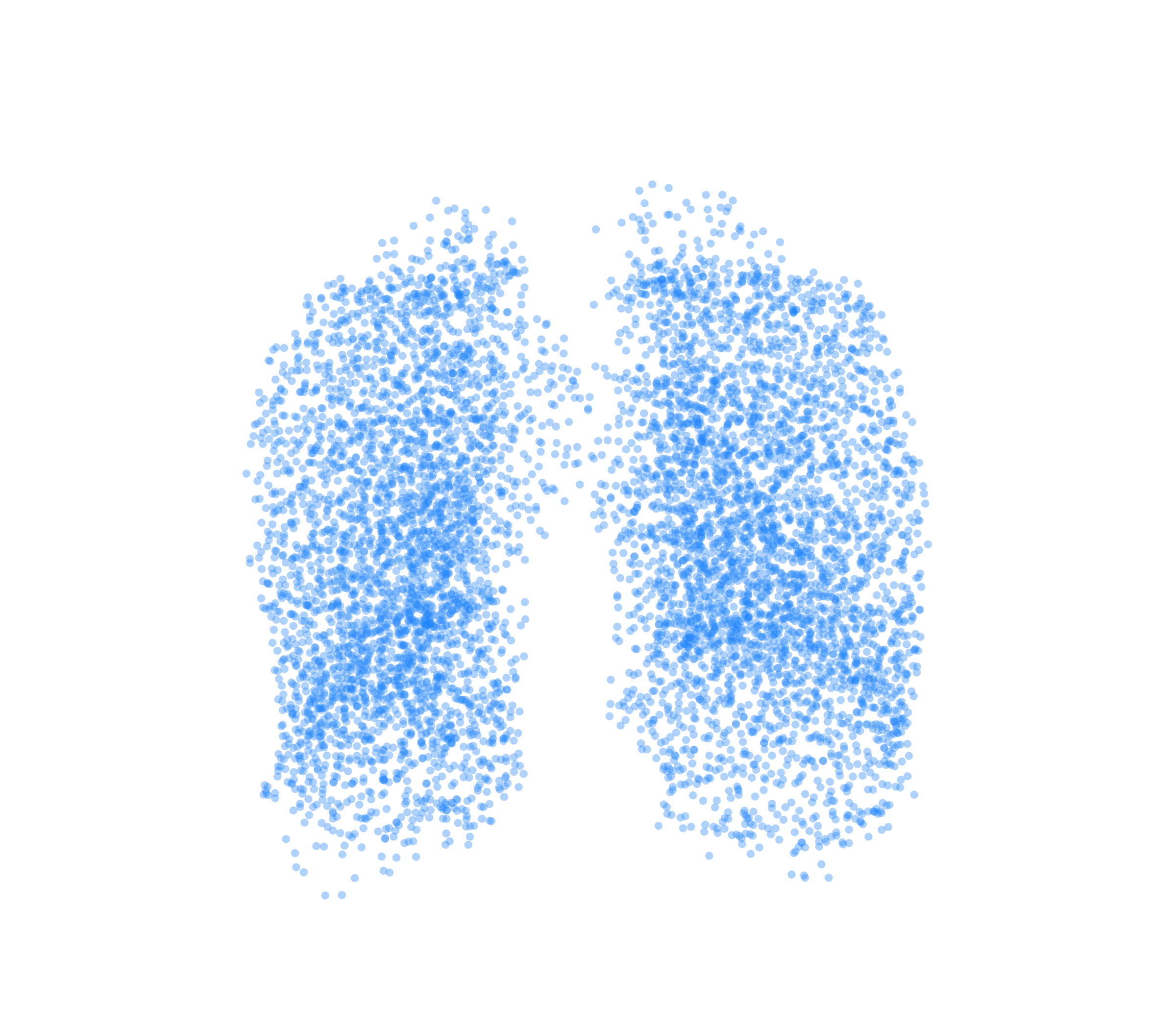 Point Cloud (Inspiration) - Front View