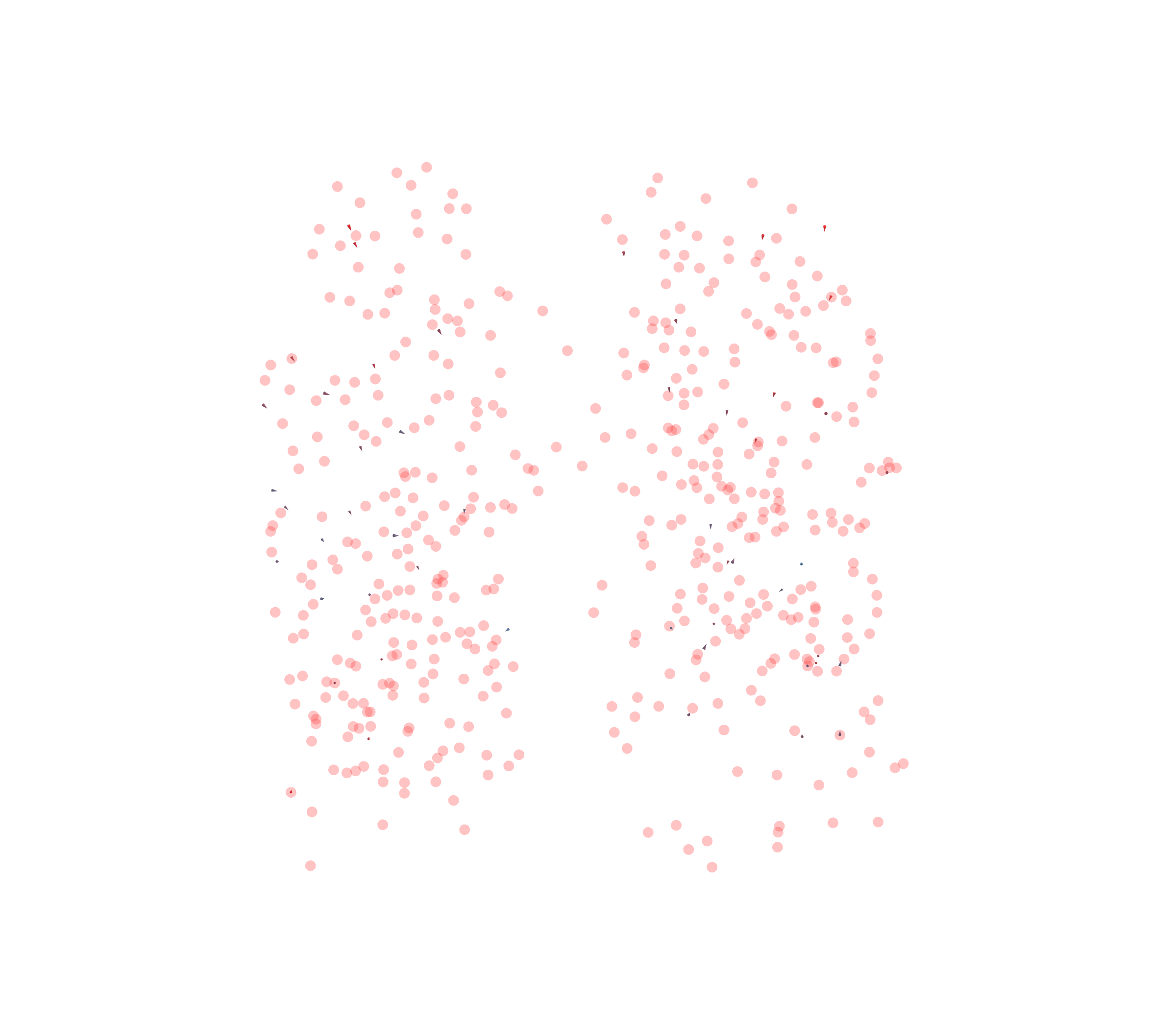 Displacement Vectors - Front View