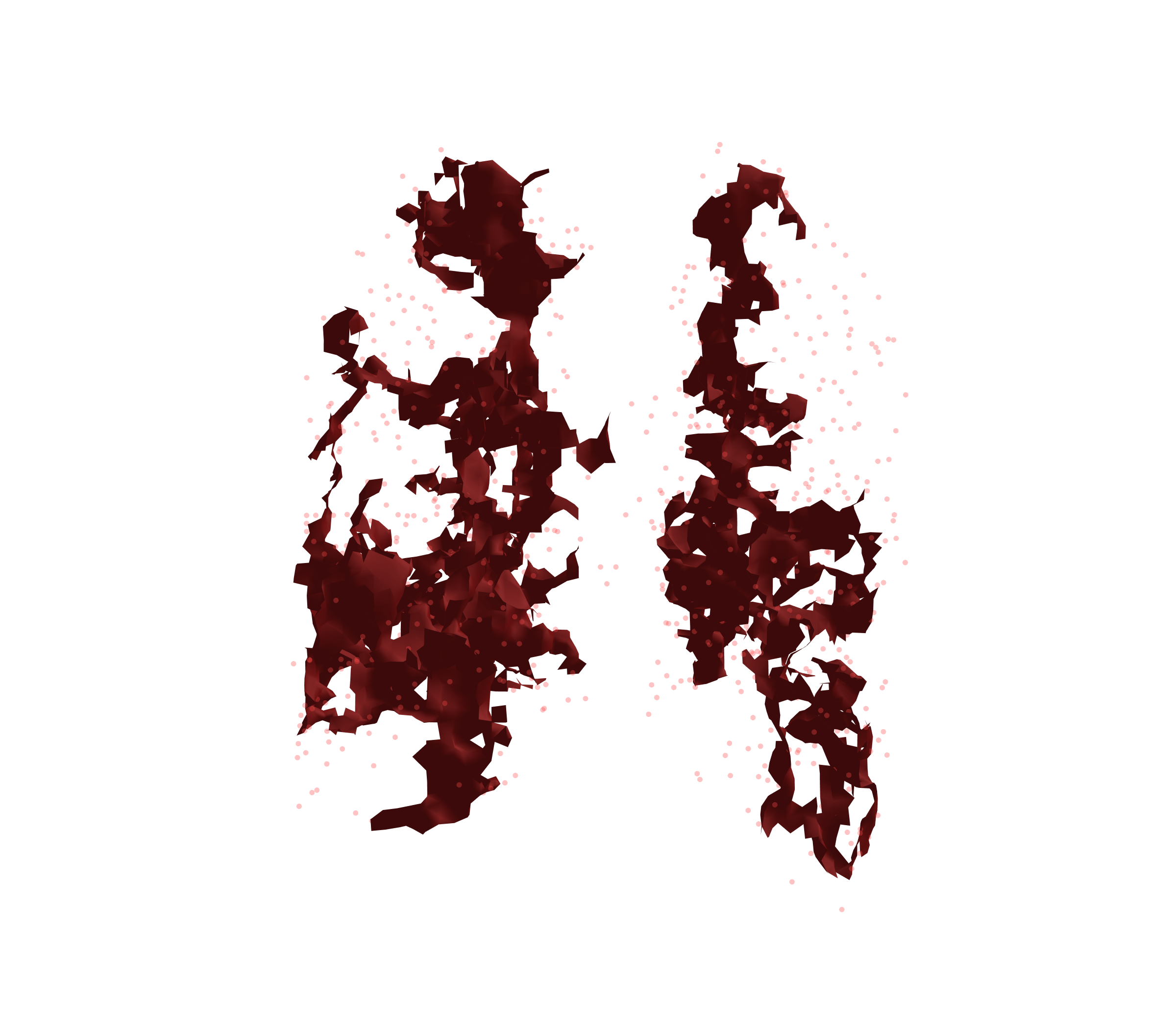 Combined Visualization (Expiration) - Back View