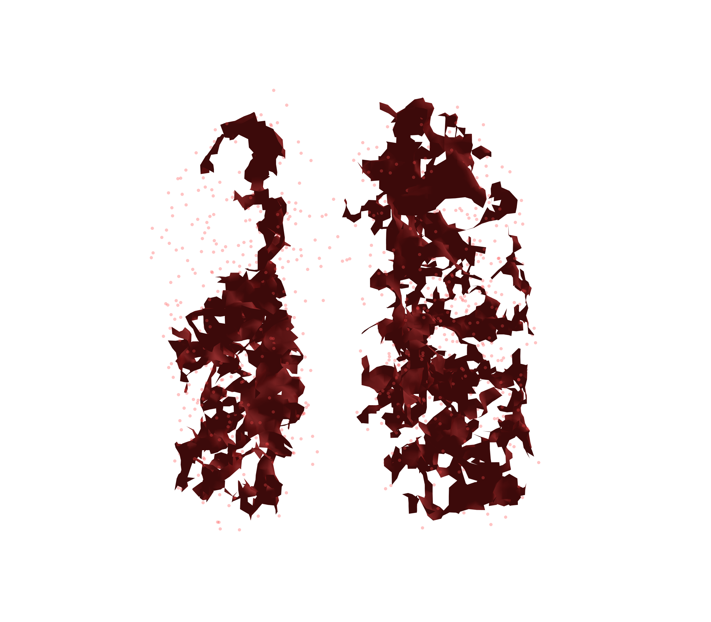 Combined Visualization (Expiration) - Front View