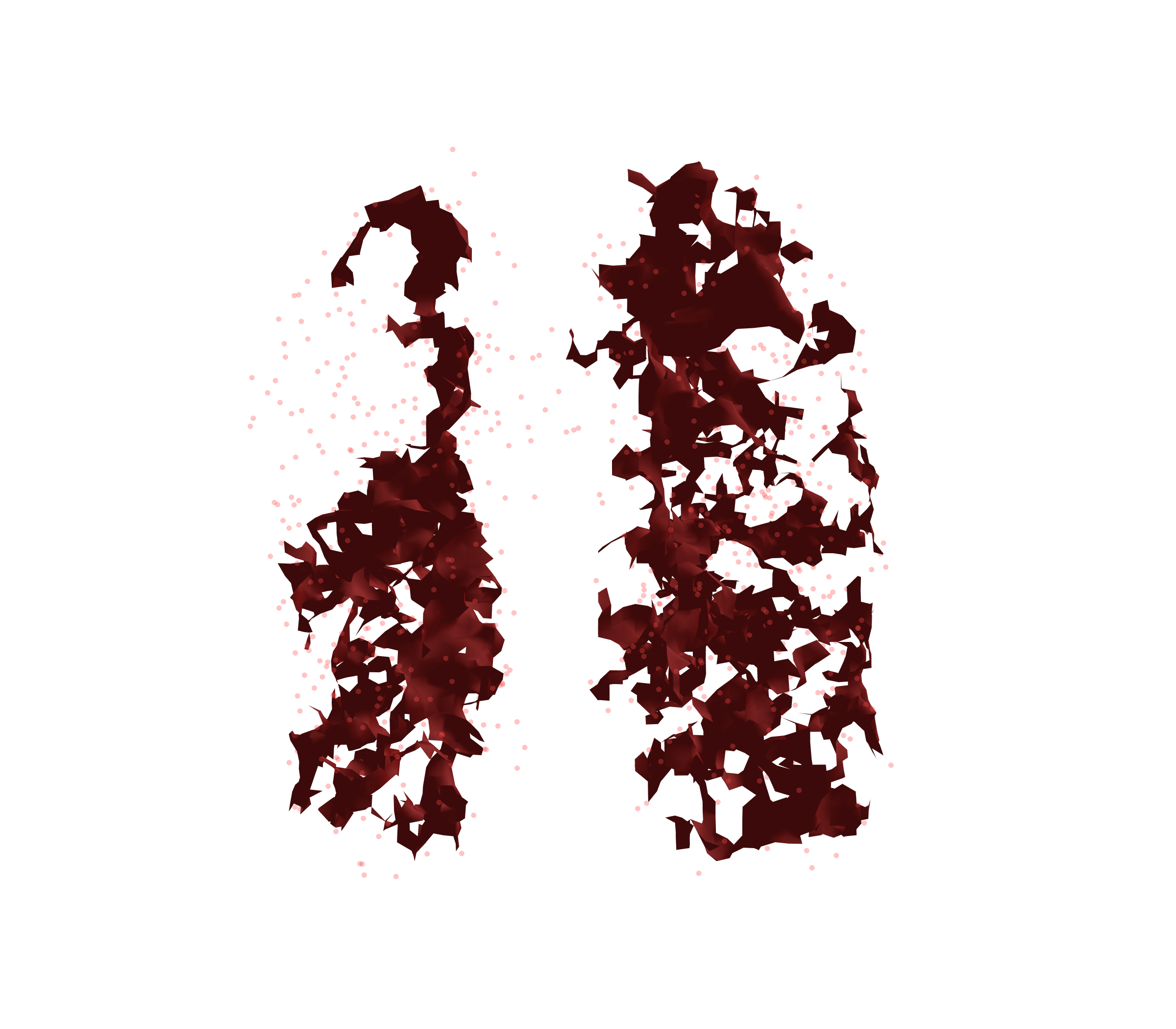 Combined Visualization (Expiration) - Front View